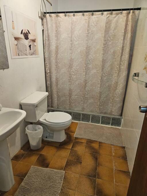 Photo 32