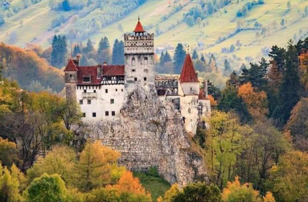 Cazare Haiducita Bran