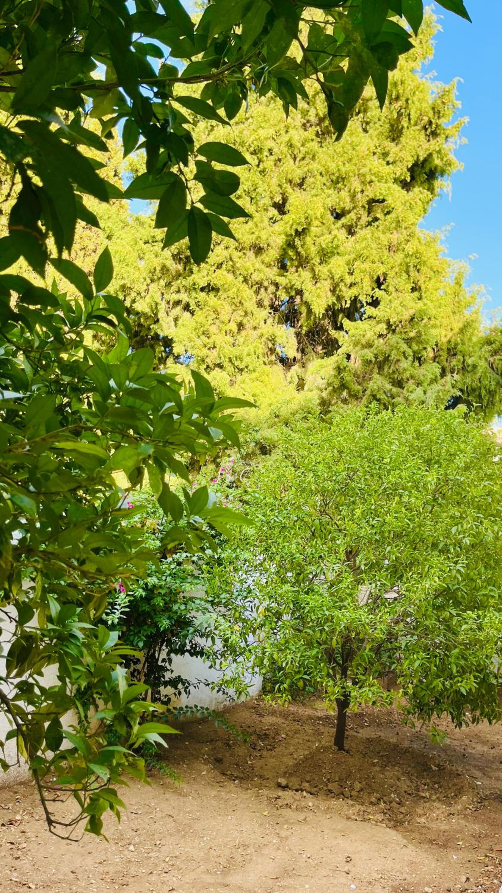 Superbe appartement avec jardin à 15min de l aéroport view 4