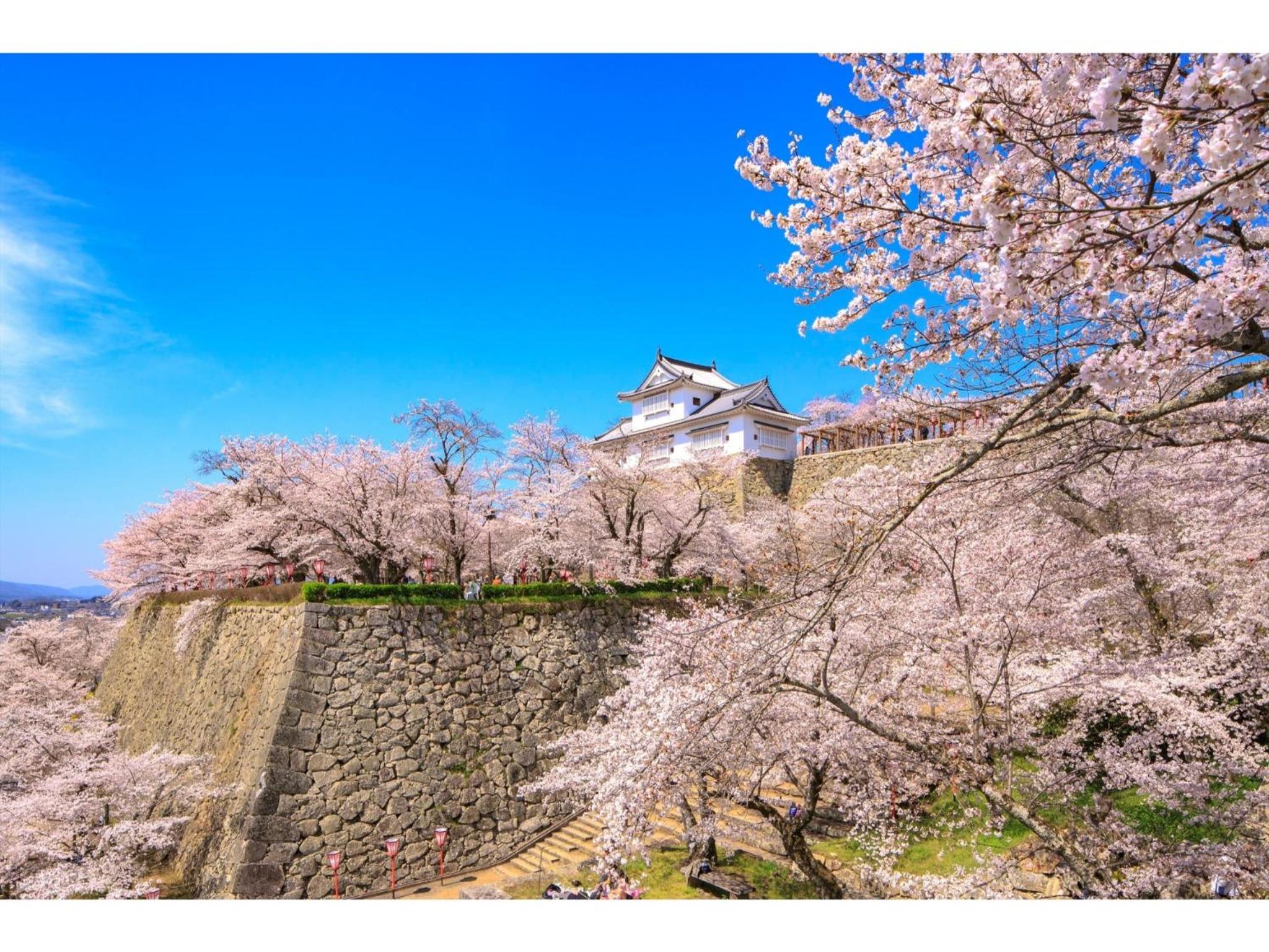 TSUYAMA KAKUZAN HOTEL - Vacation STAY 75718v view 3