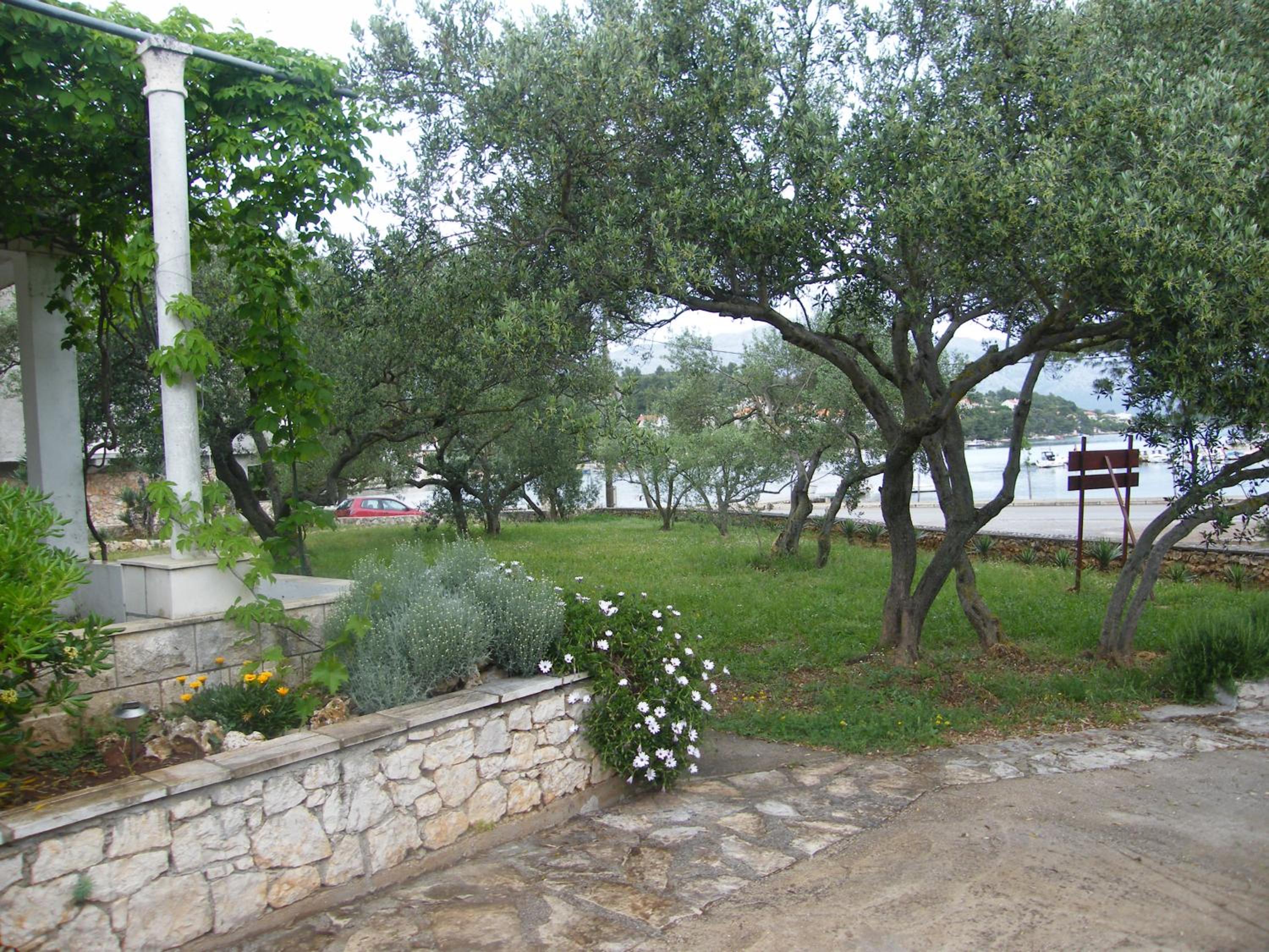 Apartments Maslina
