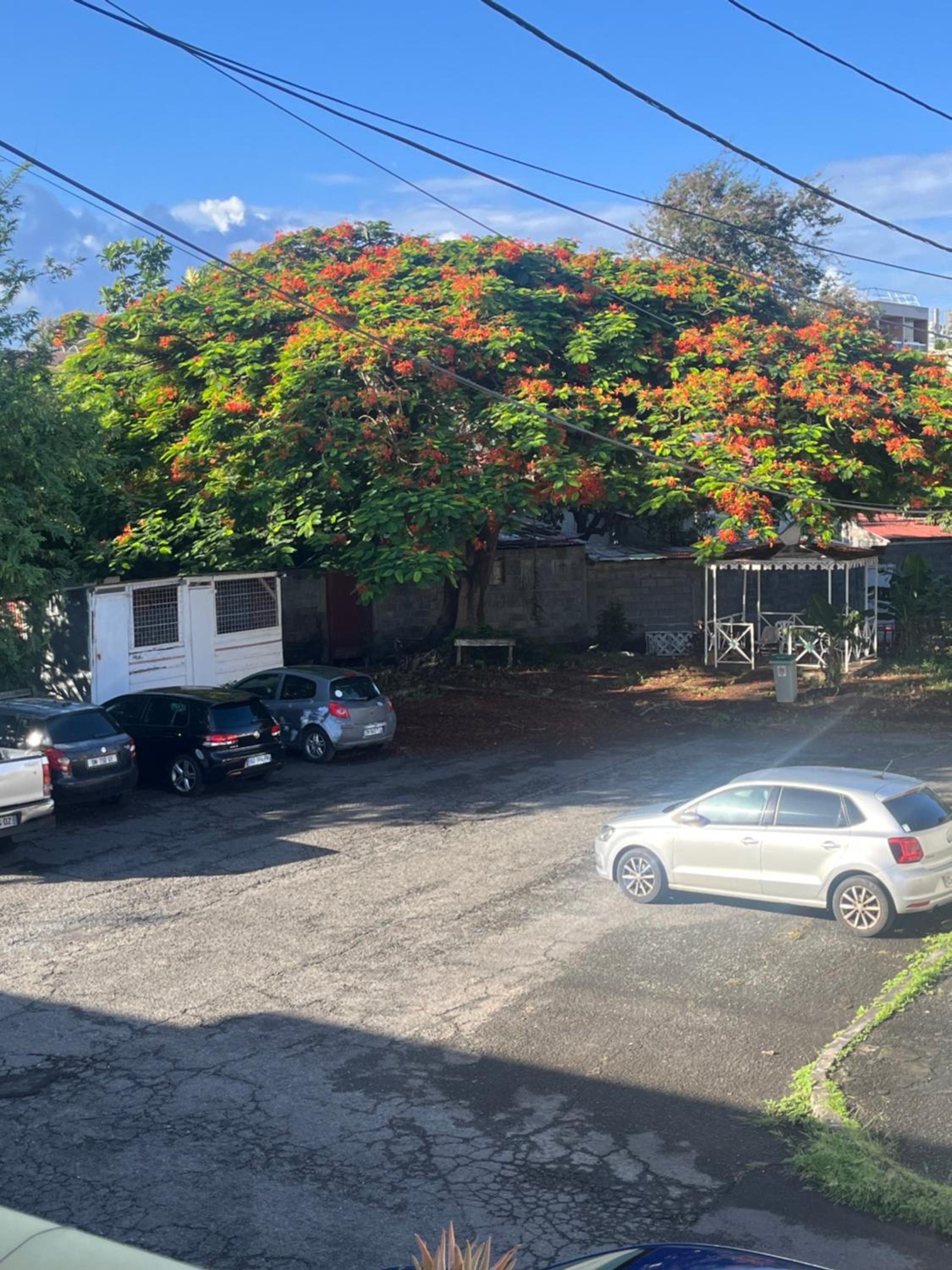 parking