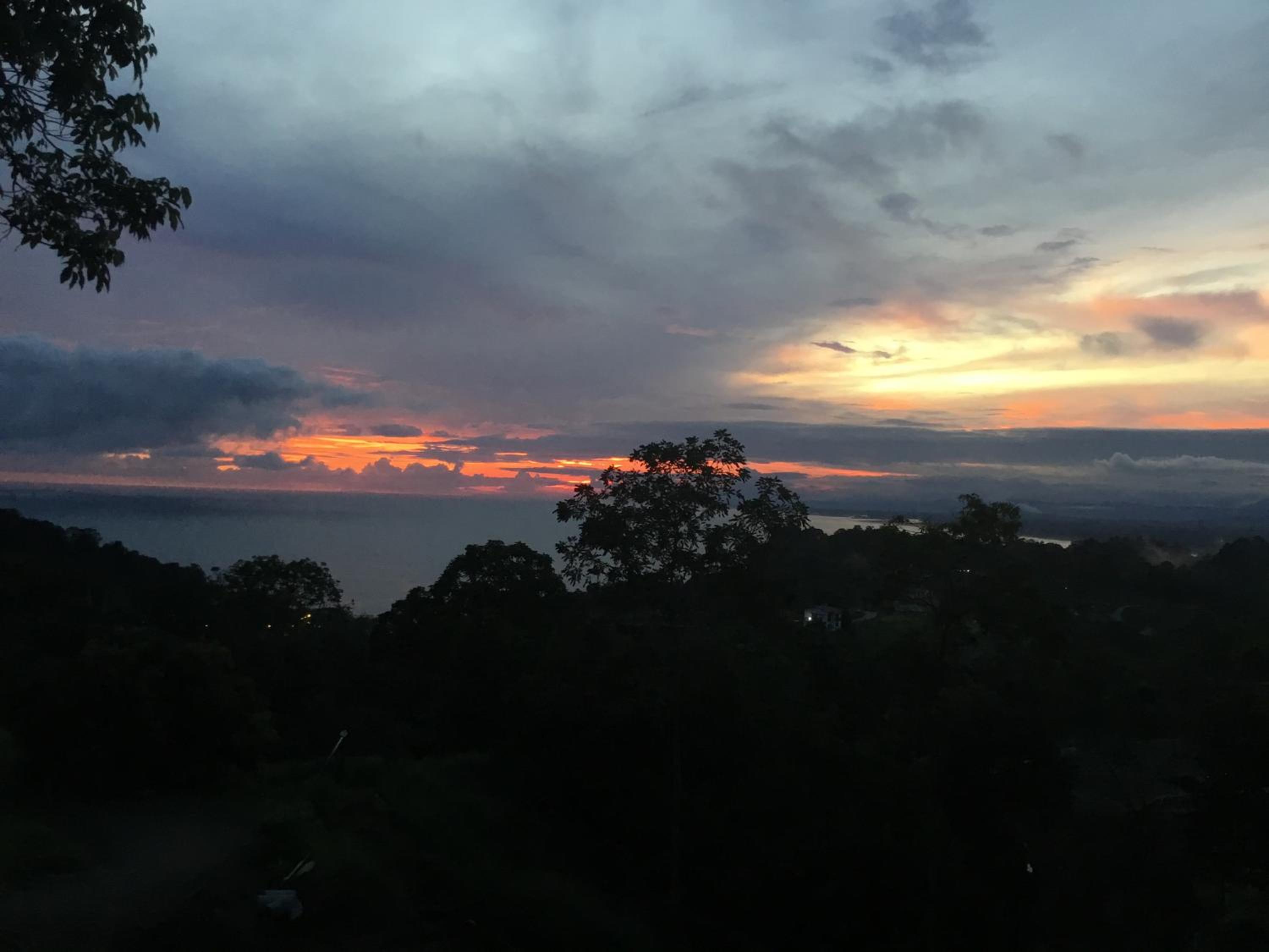 Rose House Manuel Antonio