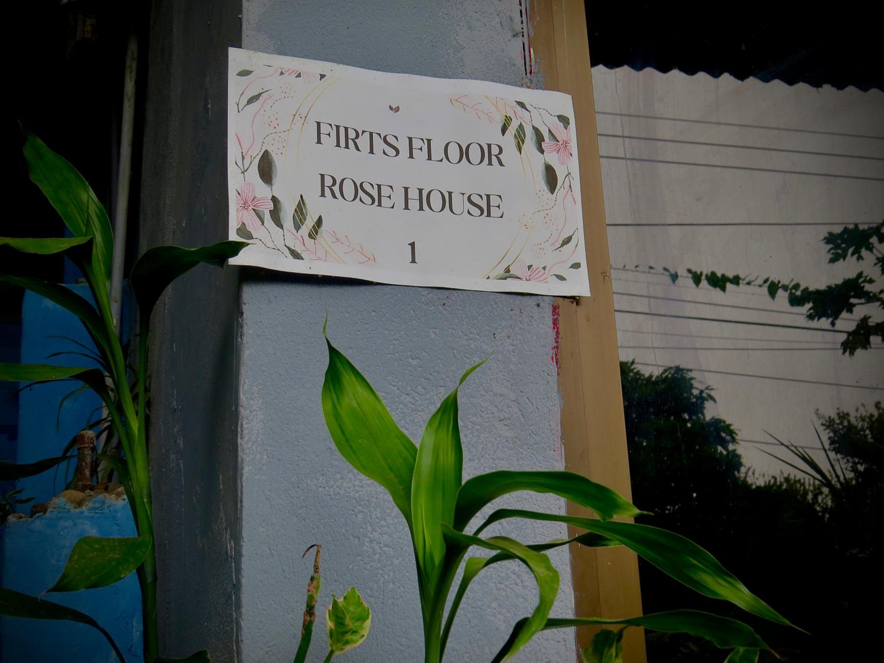 Rose House Manuel Antonio