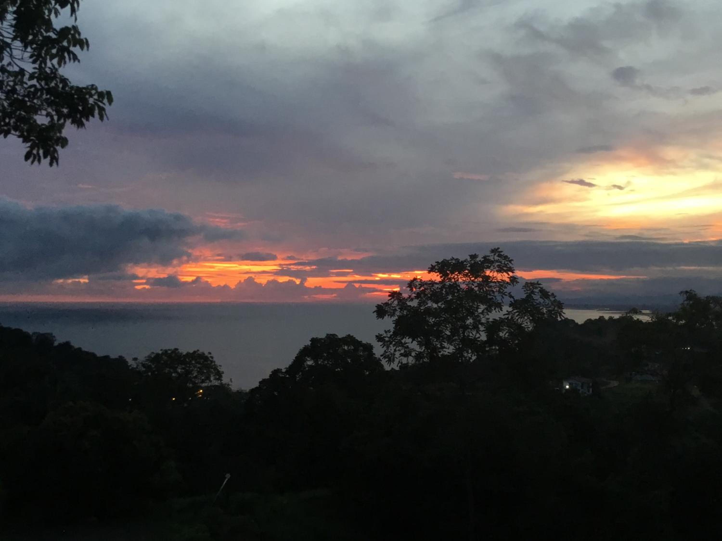 Rose House Manuel Antonio