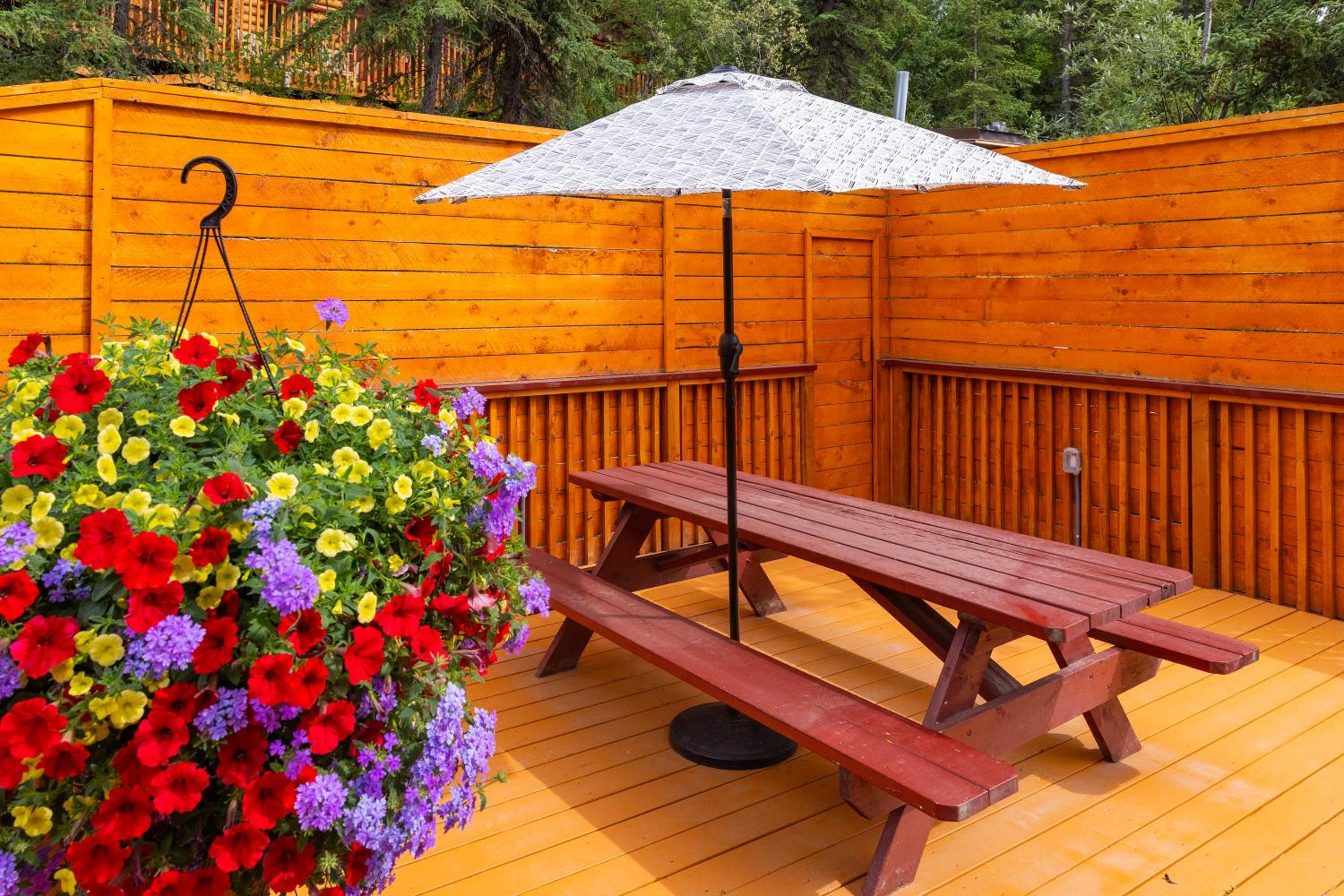 Denali Crow's Nest Cabins