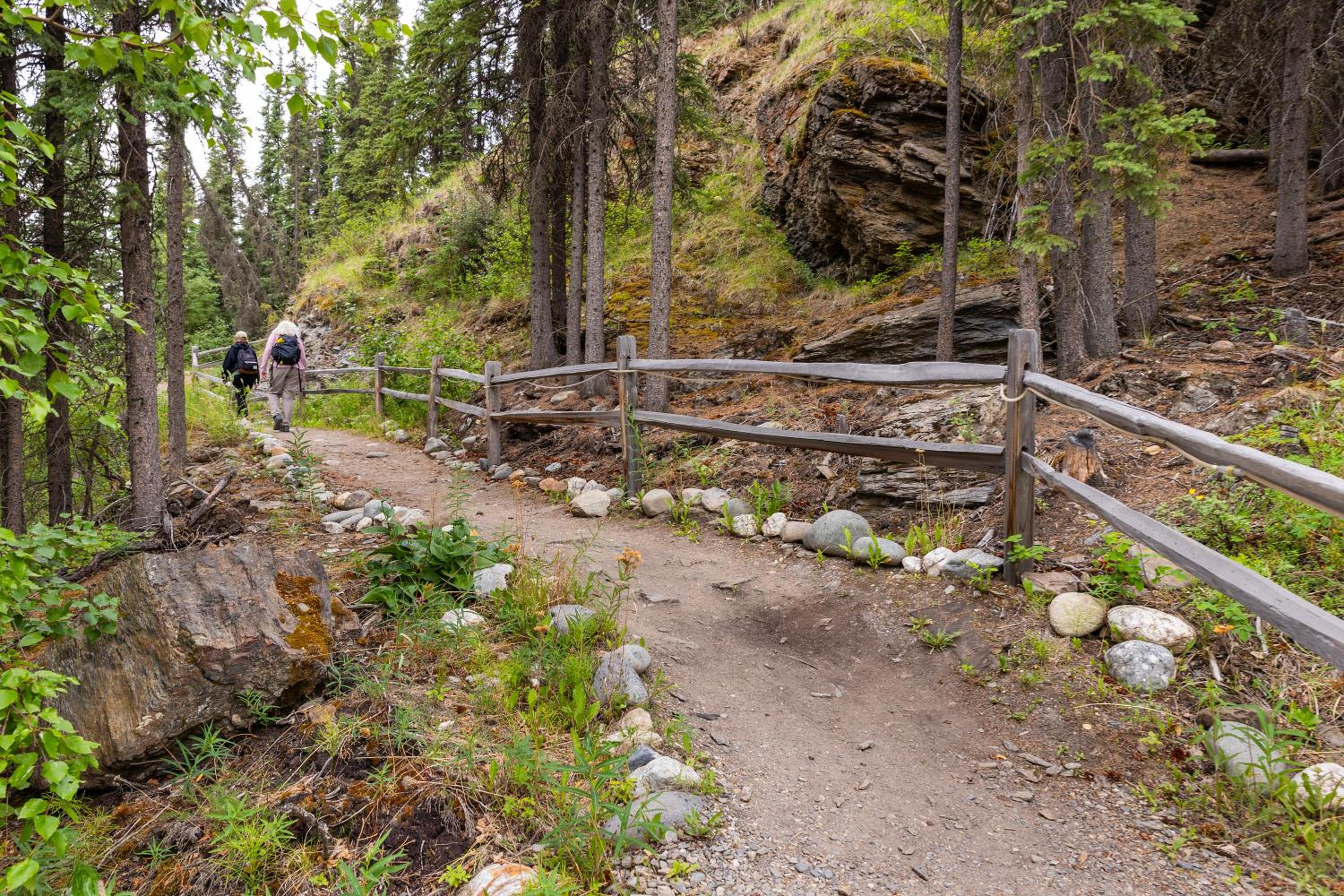 Denali Crow's Nest Cabins