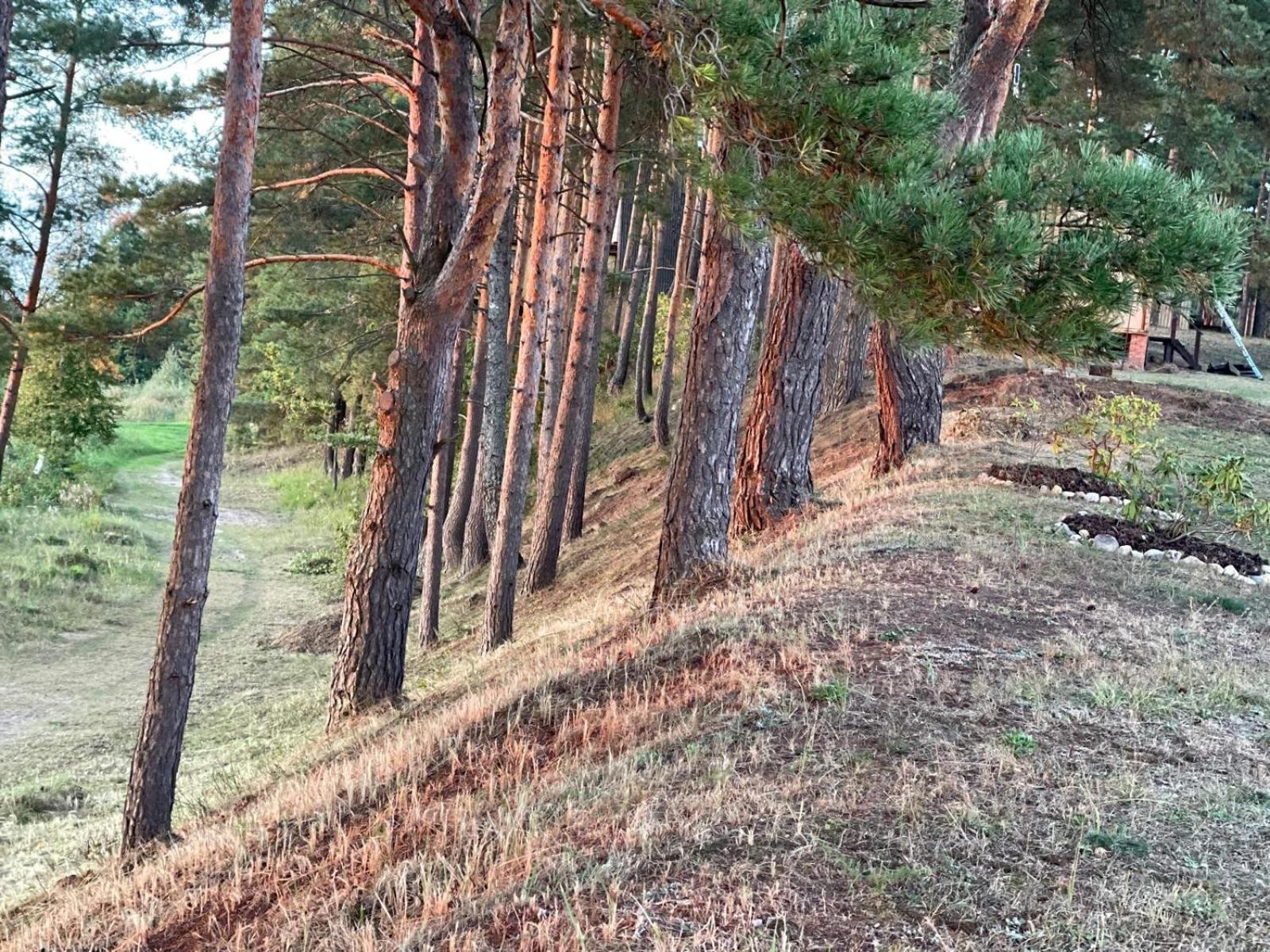 Rāznas ezera namiņš D1 ar elektrisko apkuri view 2