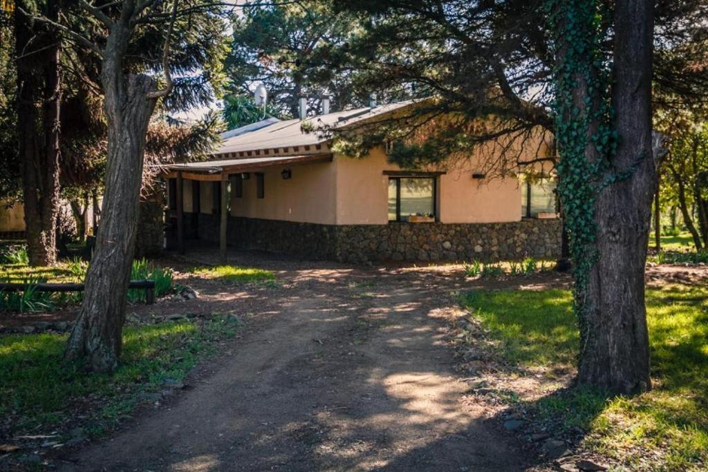 El Estanque de Tandil