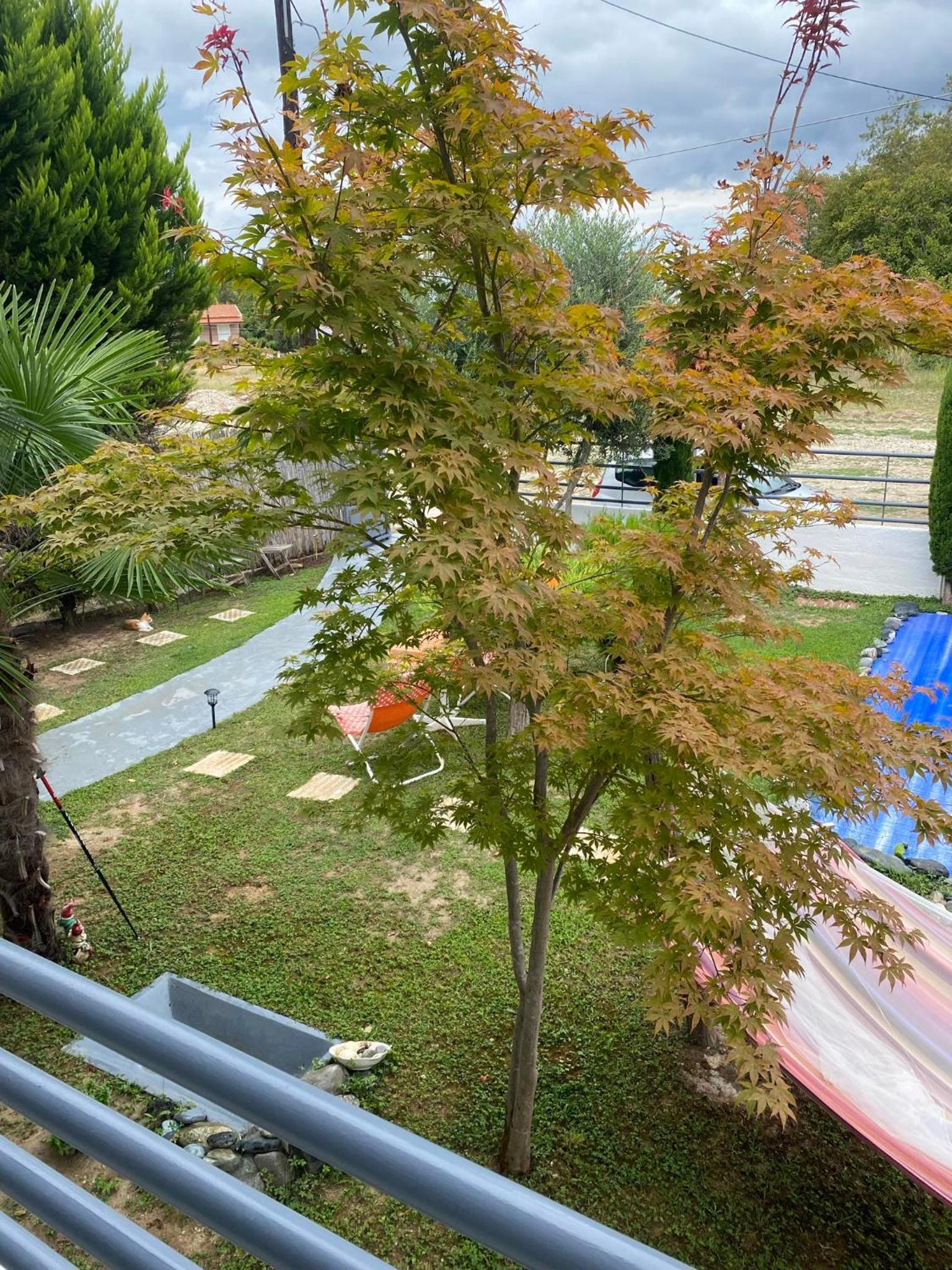 Villa Kampou