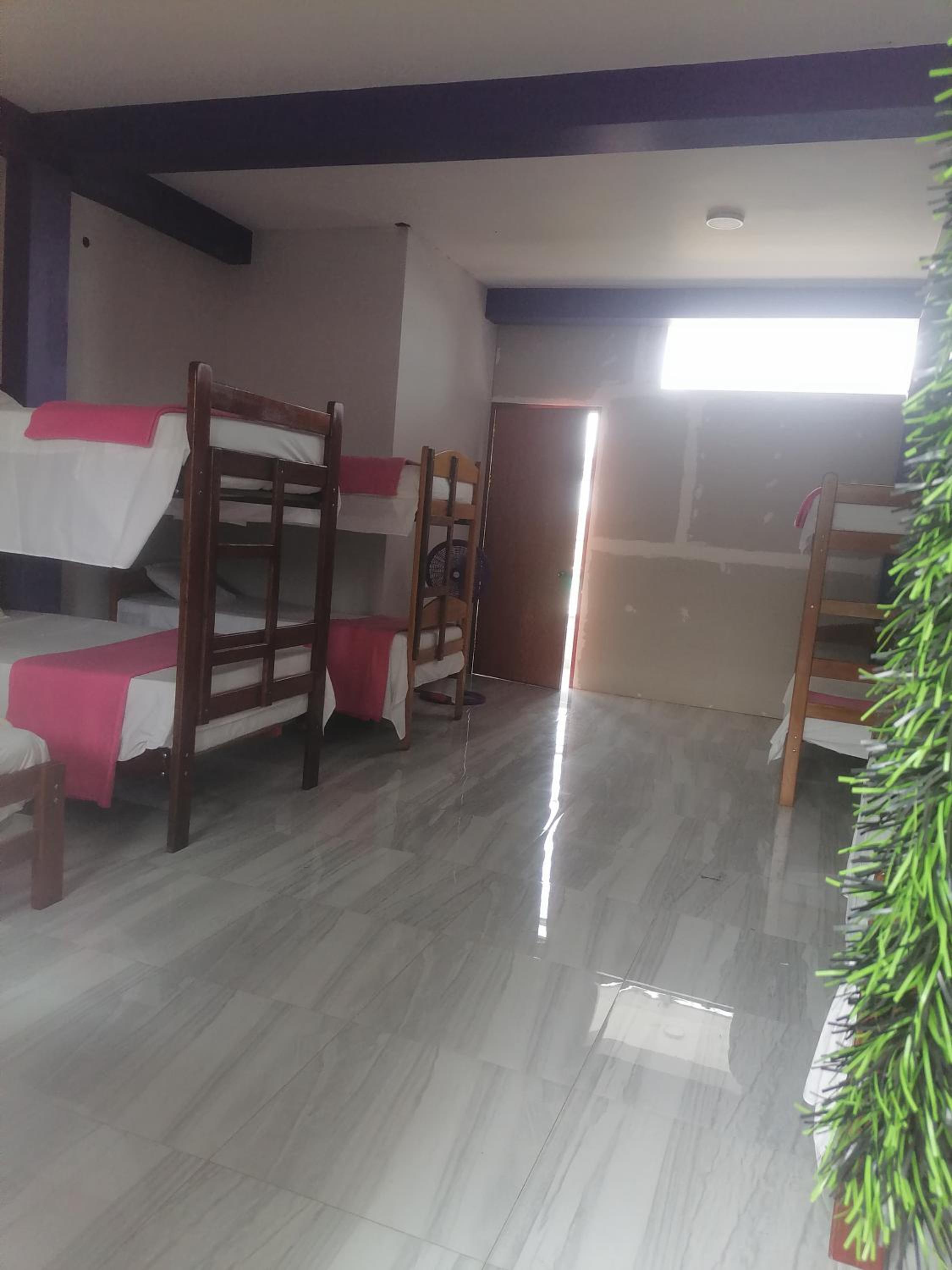 Ayahuasca Hostel