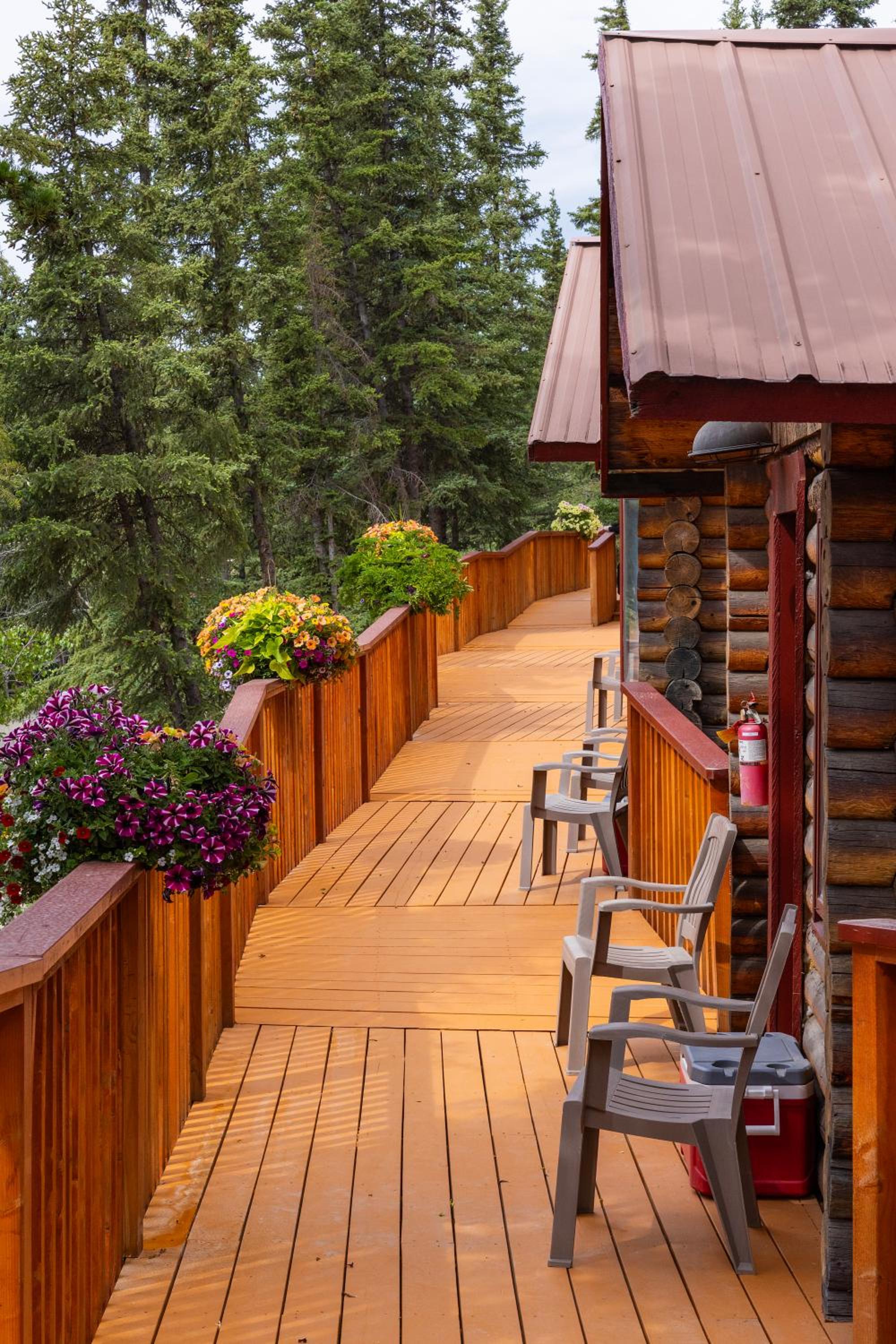 Denali Crow's Nest Cabins