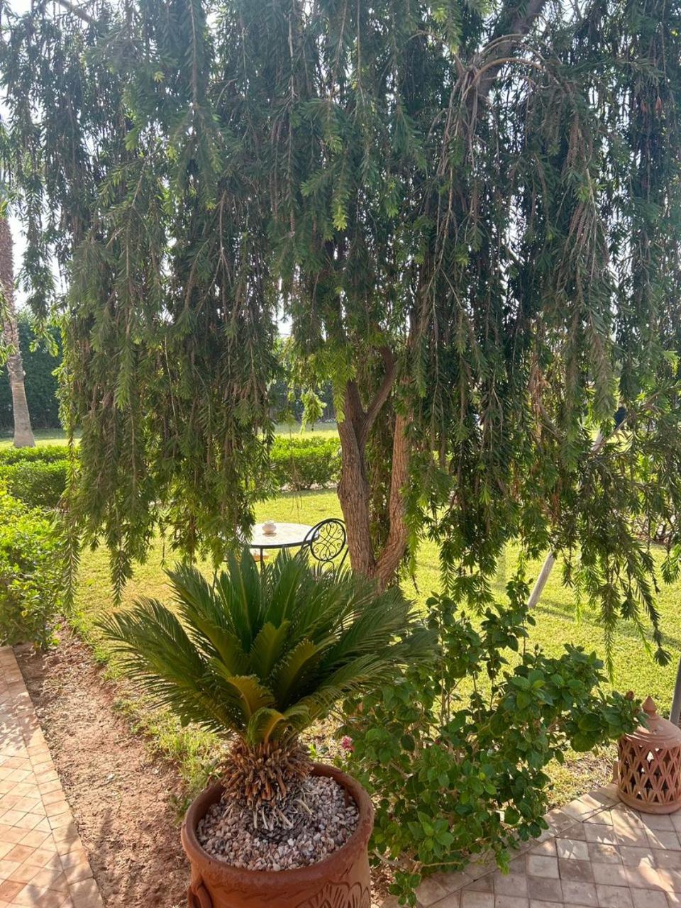 Villa Diaf Johanne