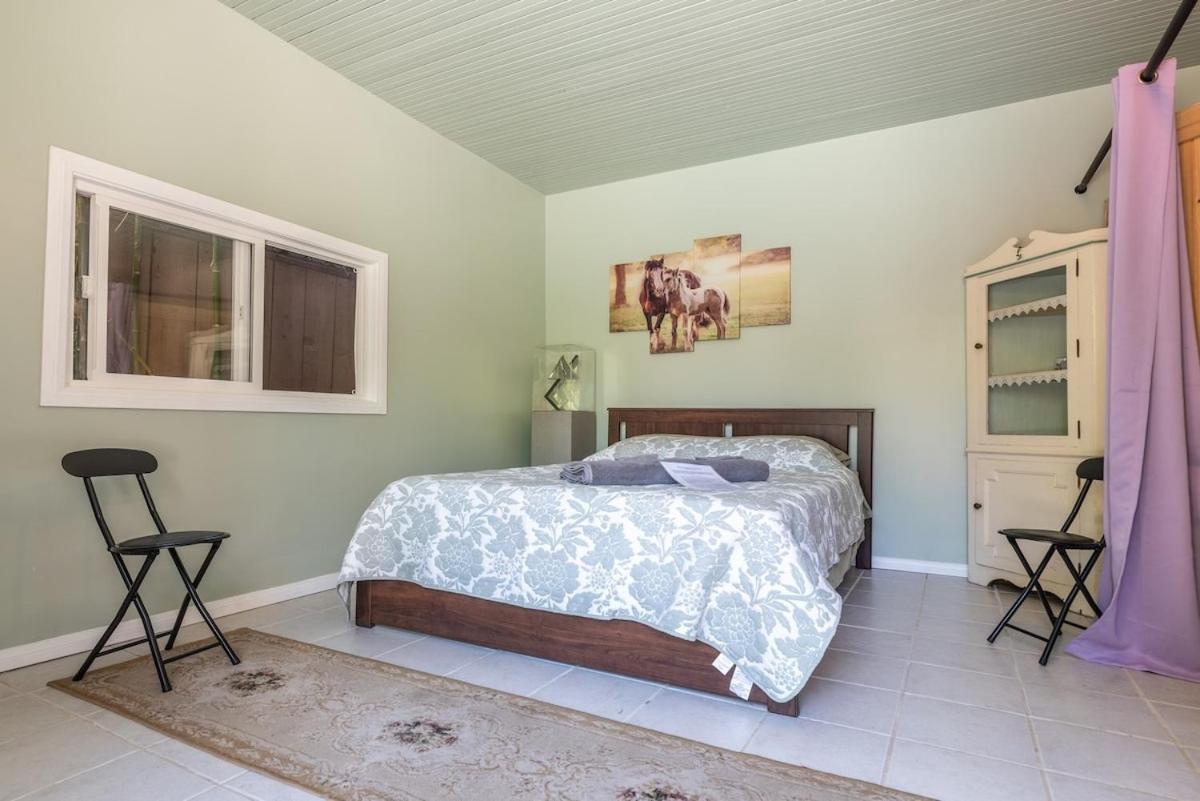 Pool Room - Entire Guest Suite - Private Entrance view 5