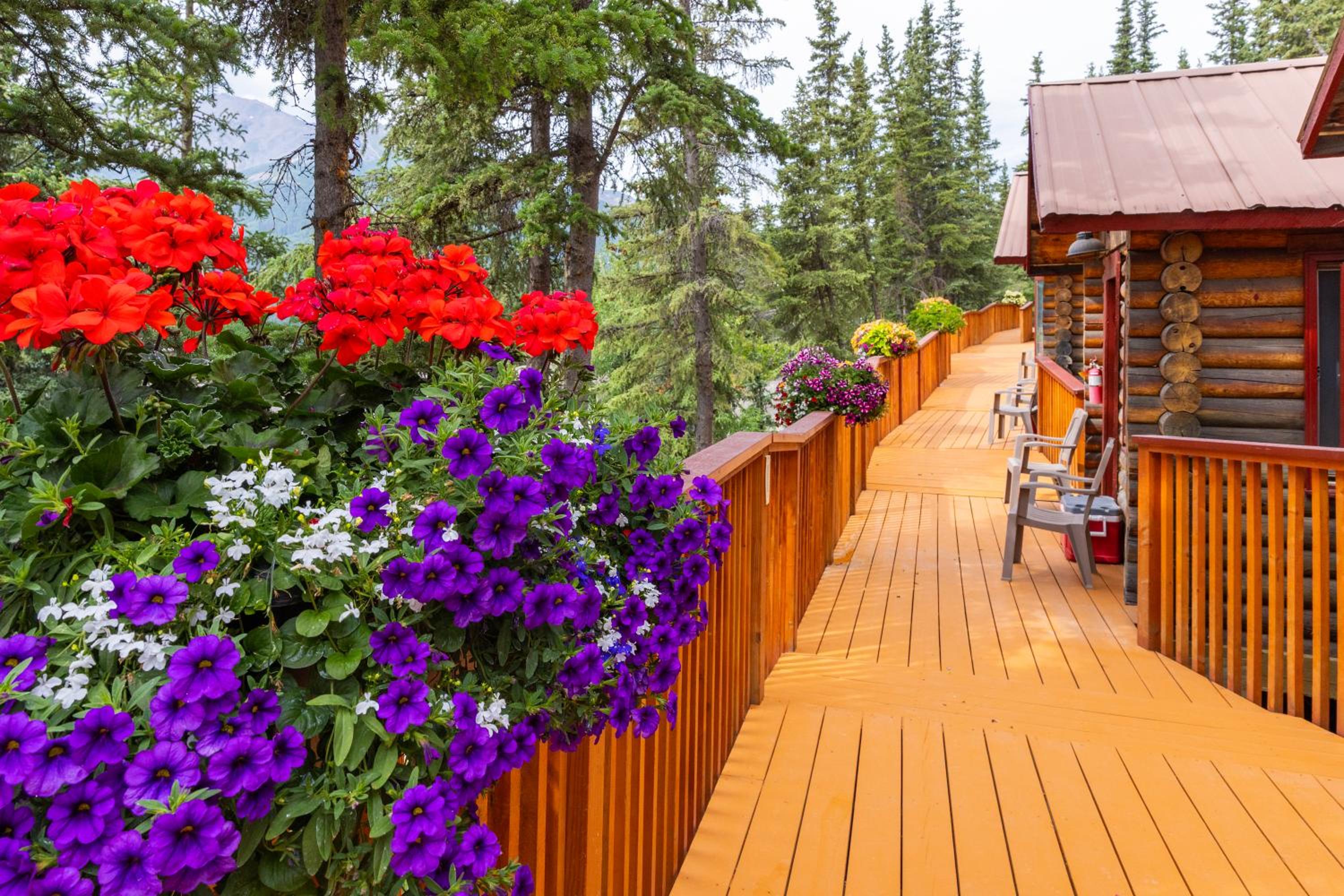Denali Crow's Nest Cabins