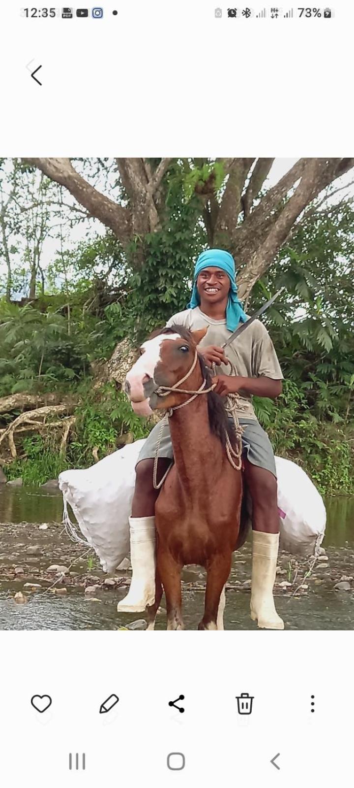 Highlands Homestay Fiji