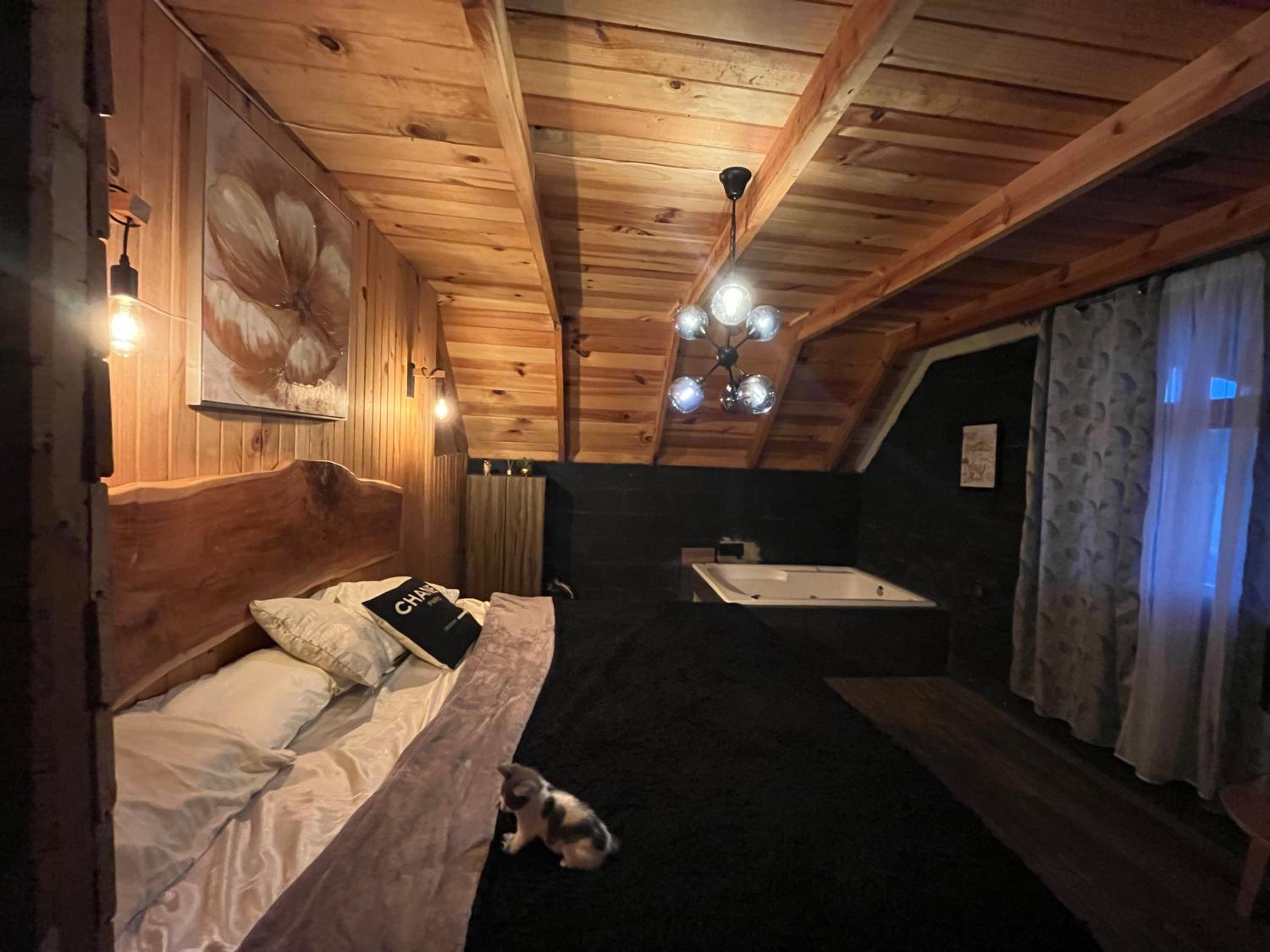 Cabaña Renacer