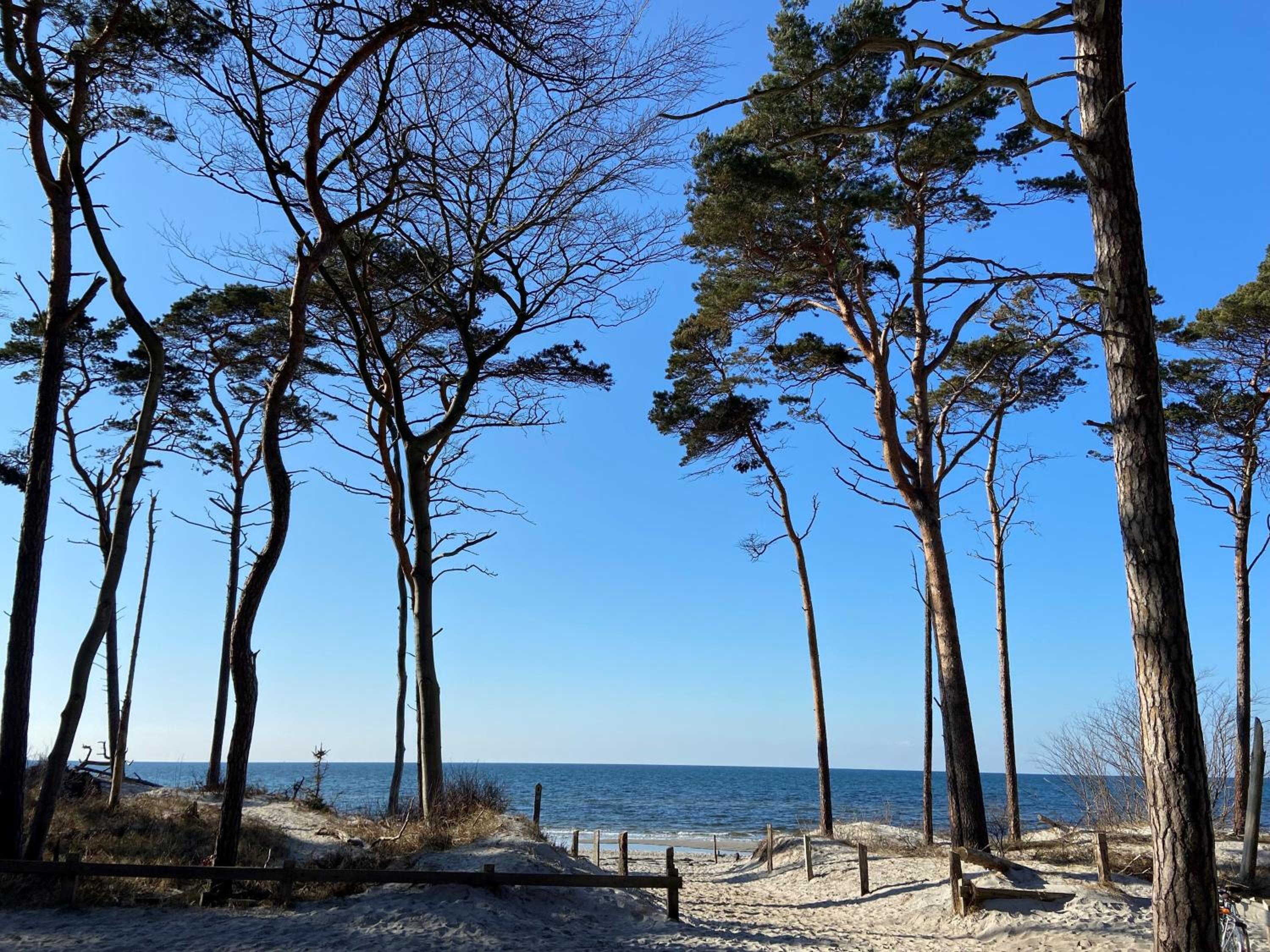 Ferienwohnung Strandkoje