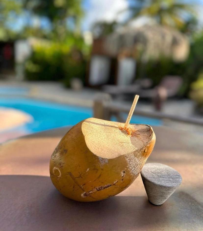 Eden Paradise Spa Ecolodge