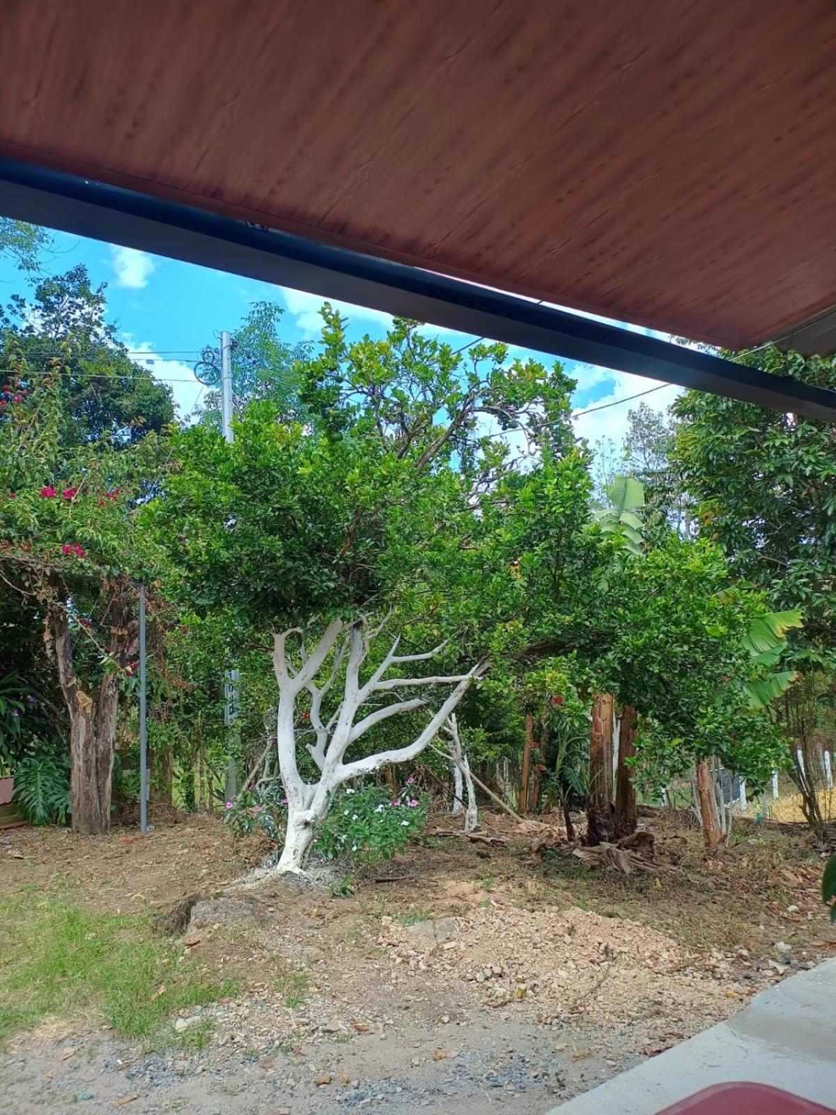 Casa Campestre en Barbosa - Naturaleza y Descanso