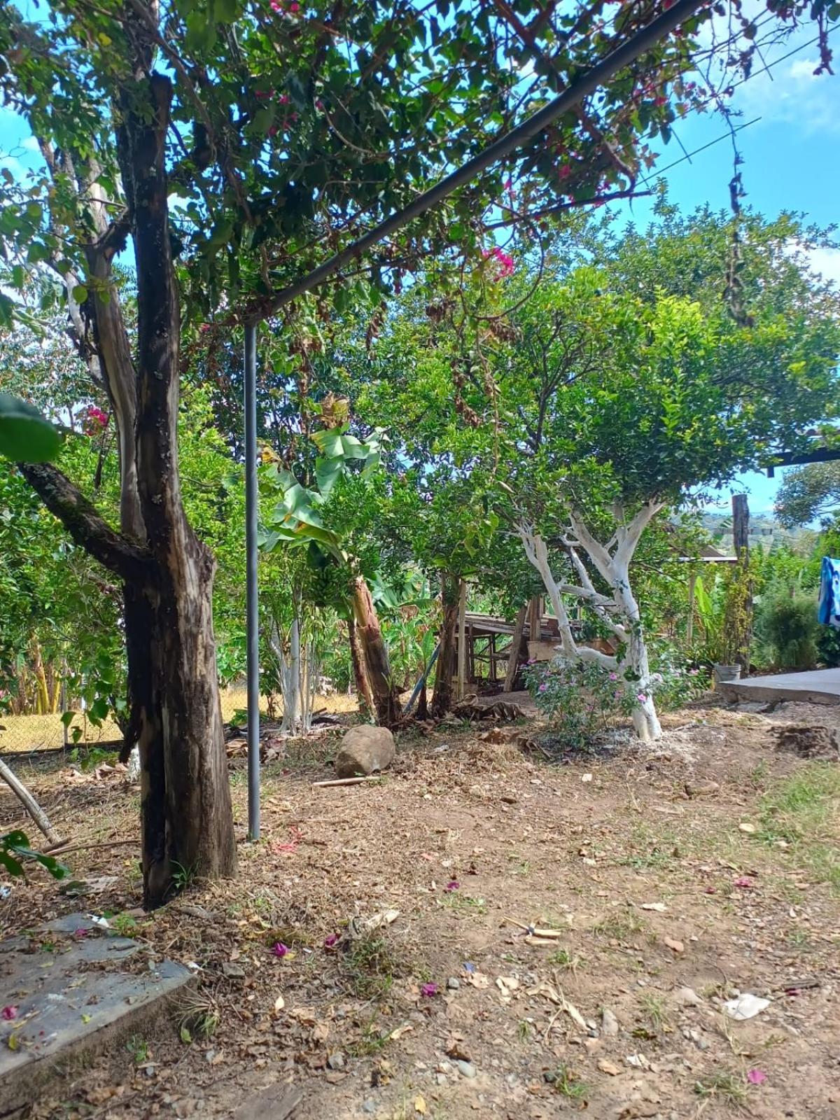 Casa Campestre en Barbosa - Naturaleza y Descanso