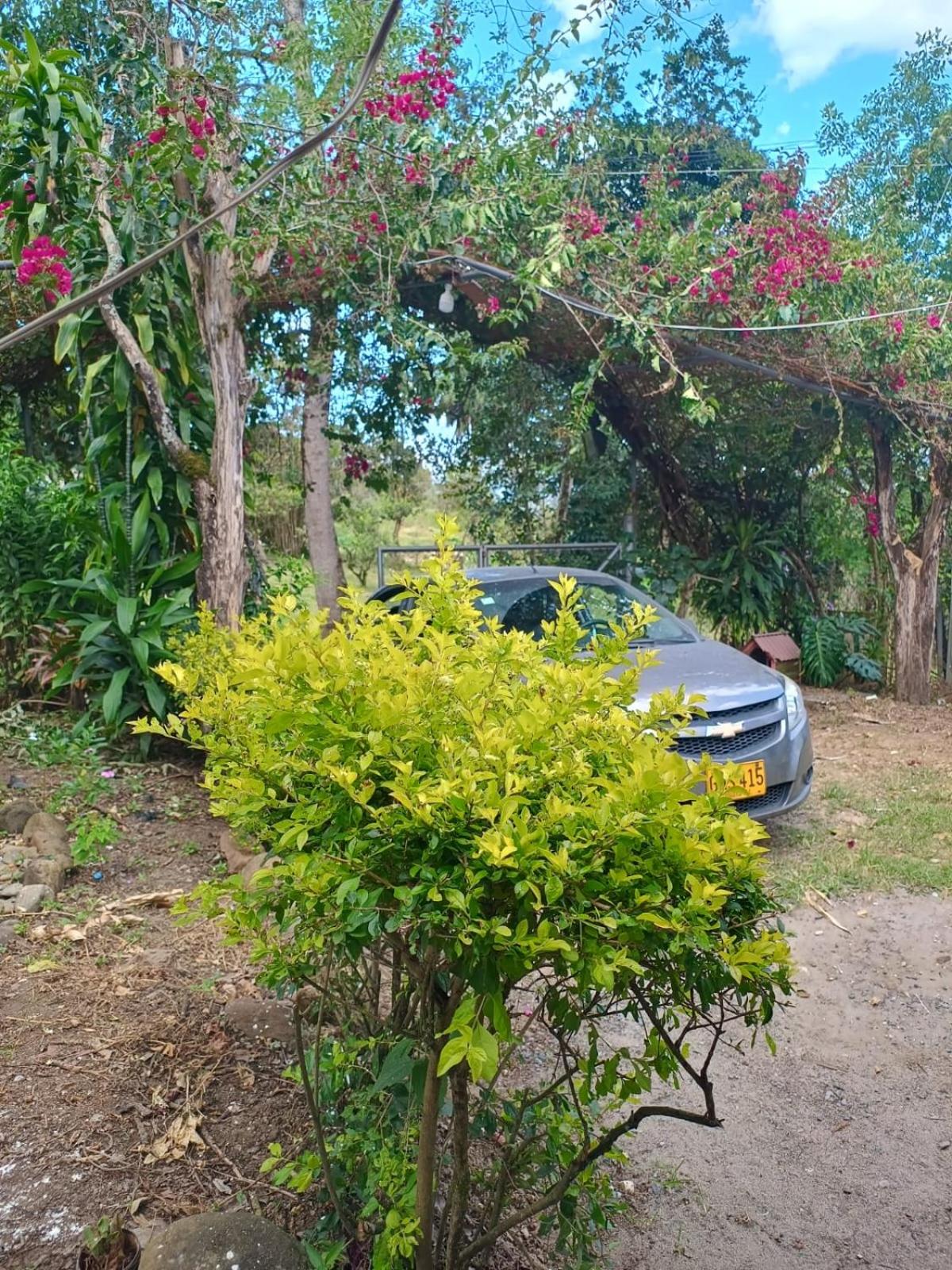 Casa Campestre en Barbosa - Naturaleza y Descanso