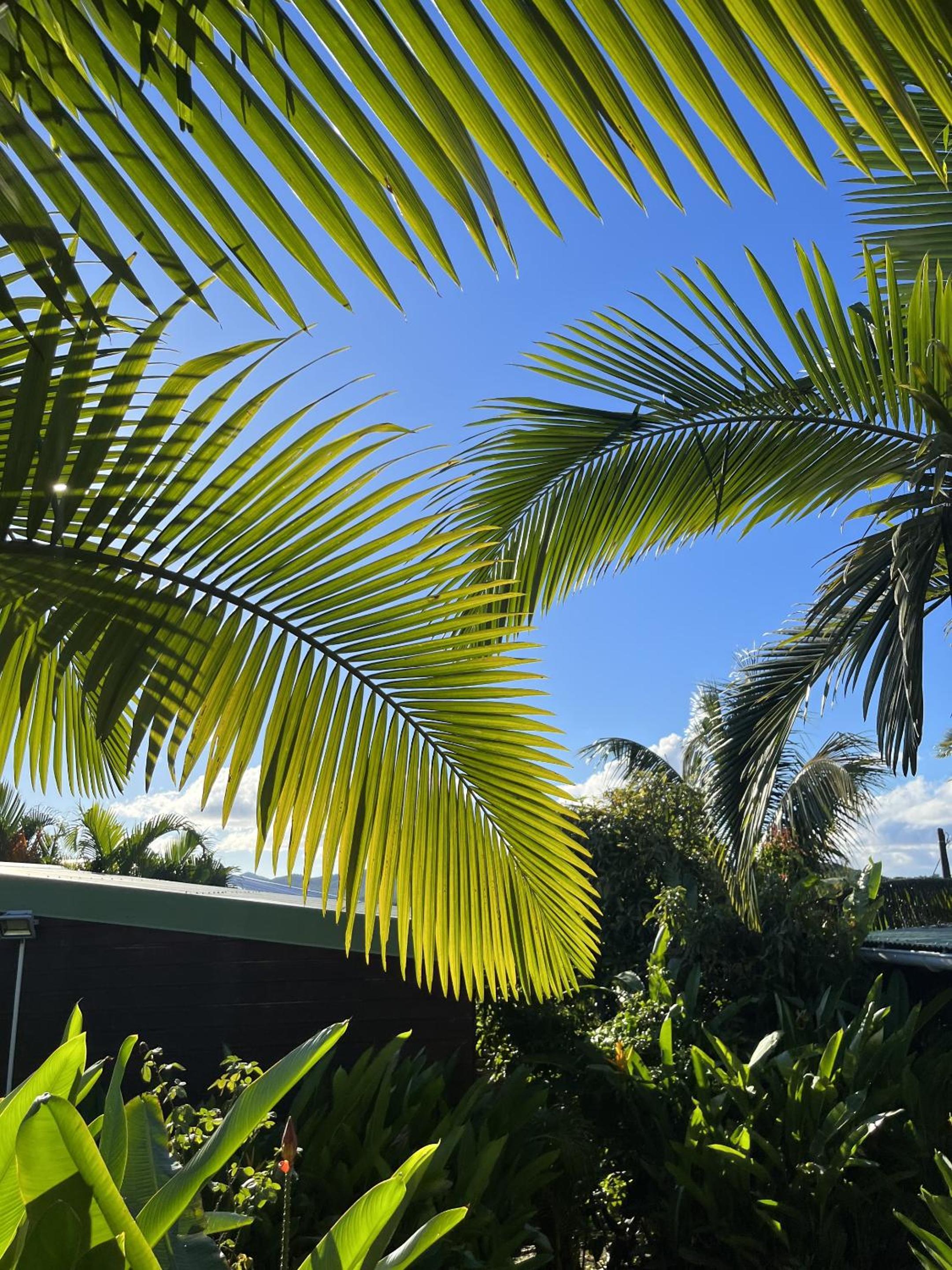 Eden Paradise Spa Ecolodge
