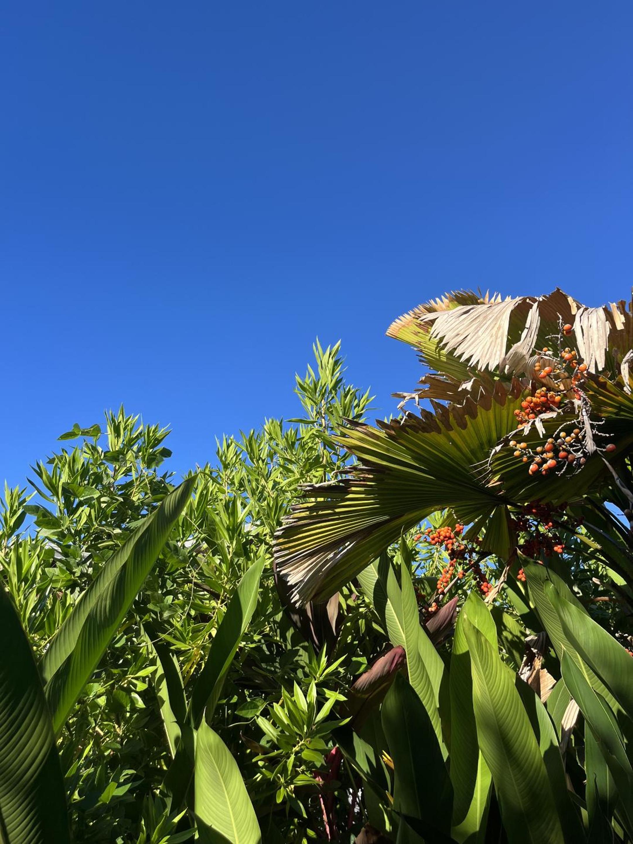Eden Paradise Spa Ecolodge