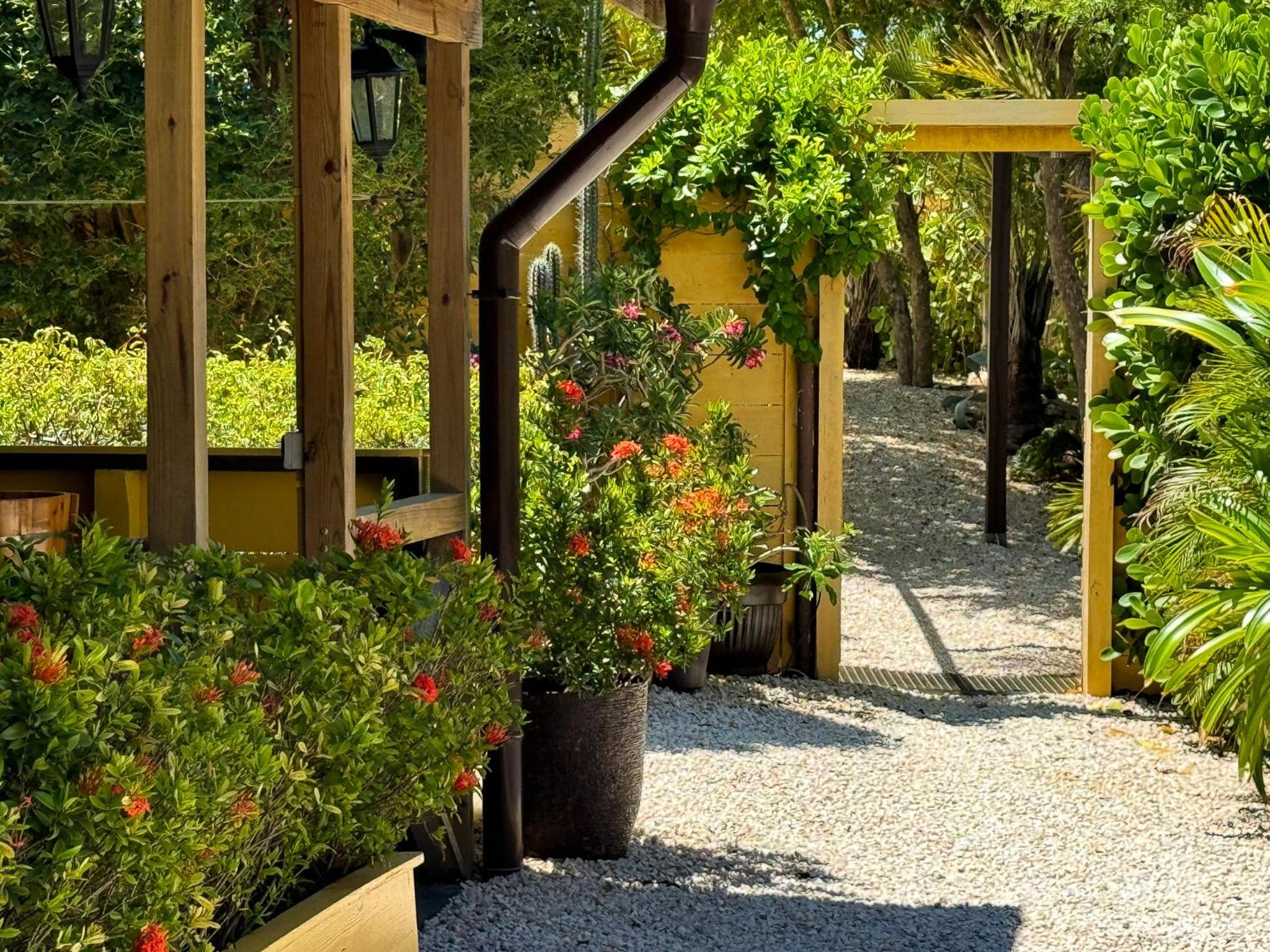 Jan Kok Lodges