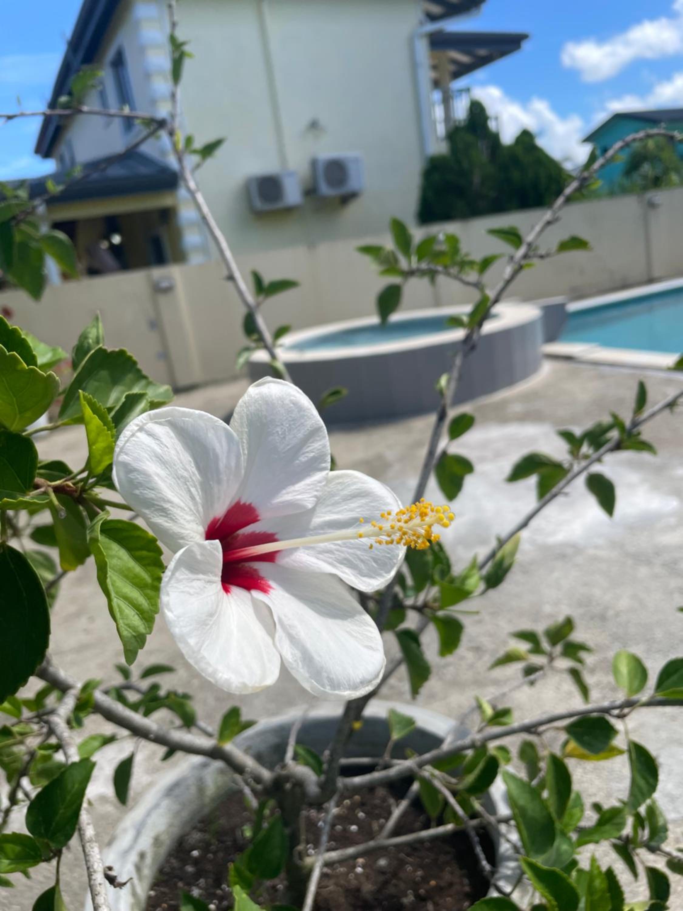 Bon accord Hummingbird Hideaway