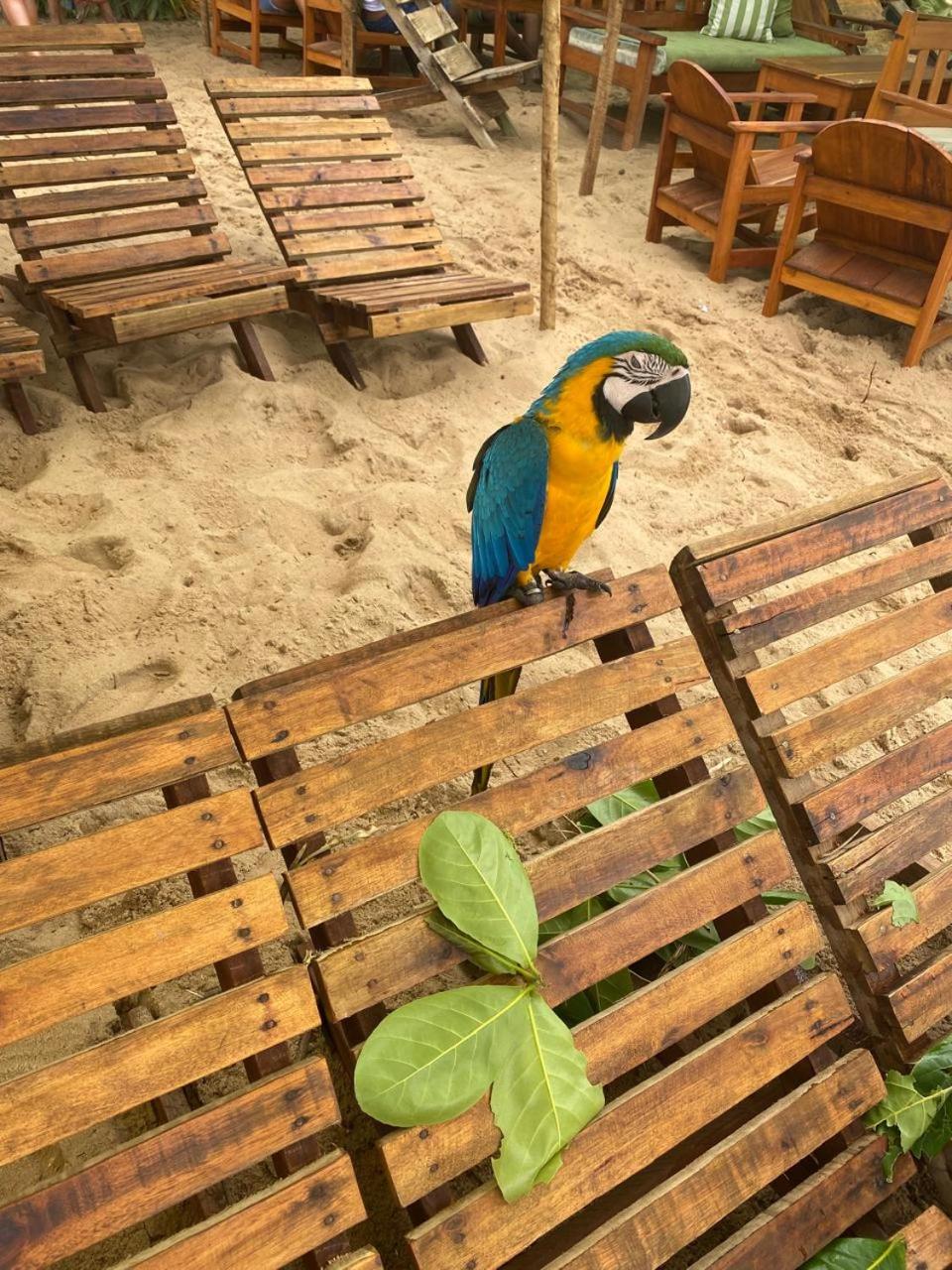 Casa Mar Amar Caraíva
