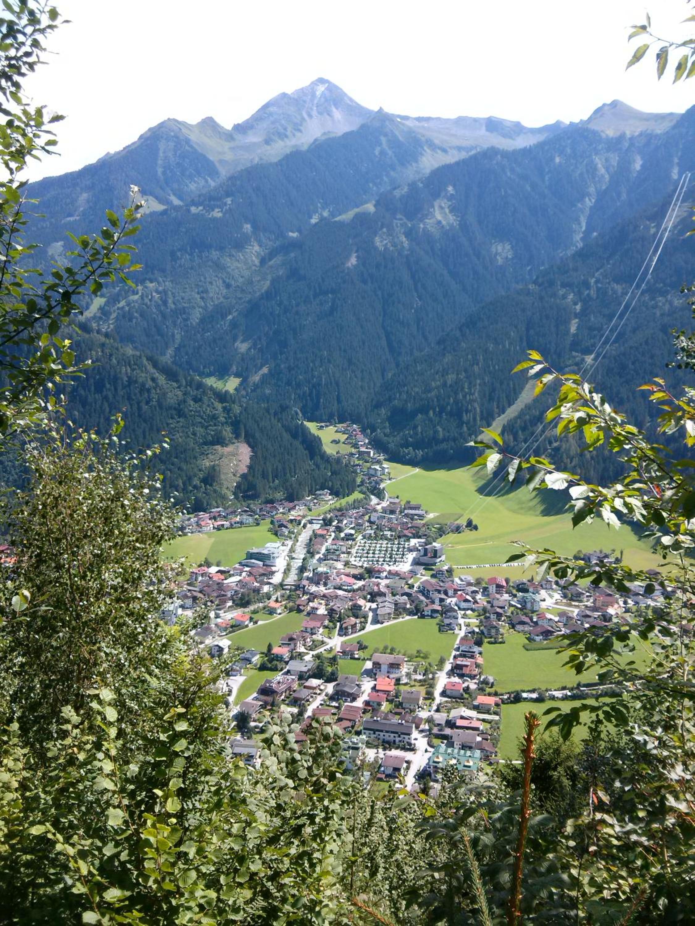 Photo 45