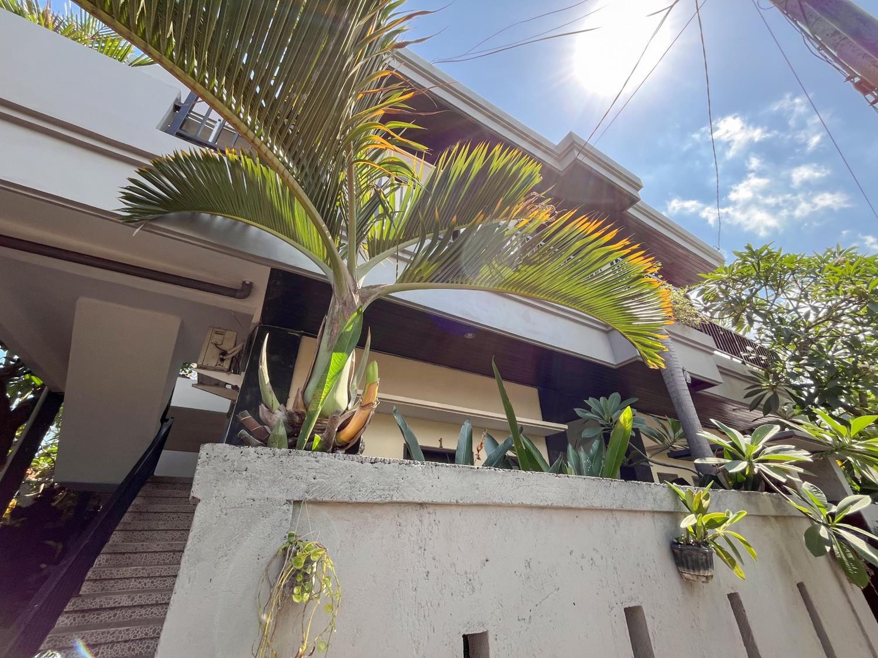 Adi surya guest house view 3