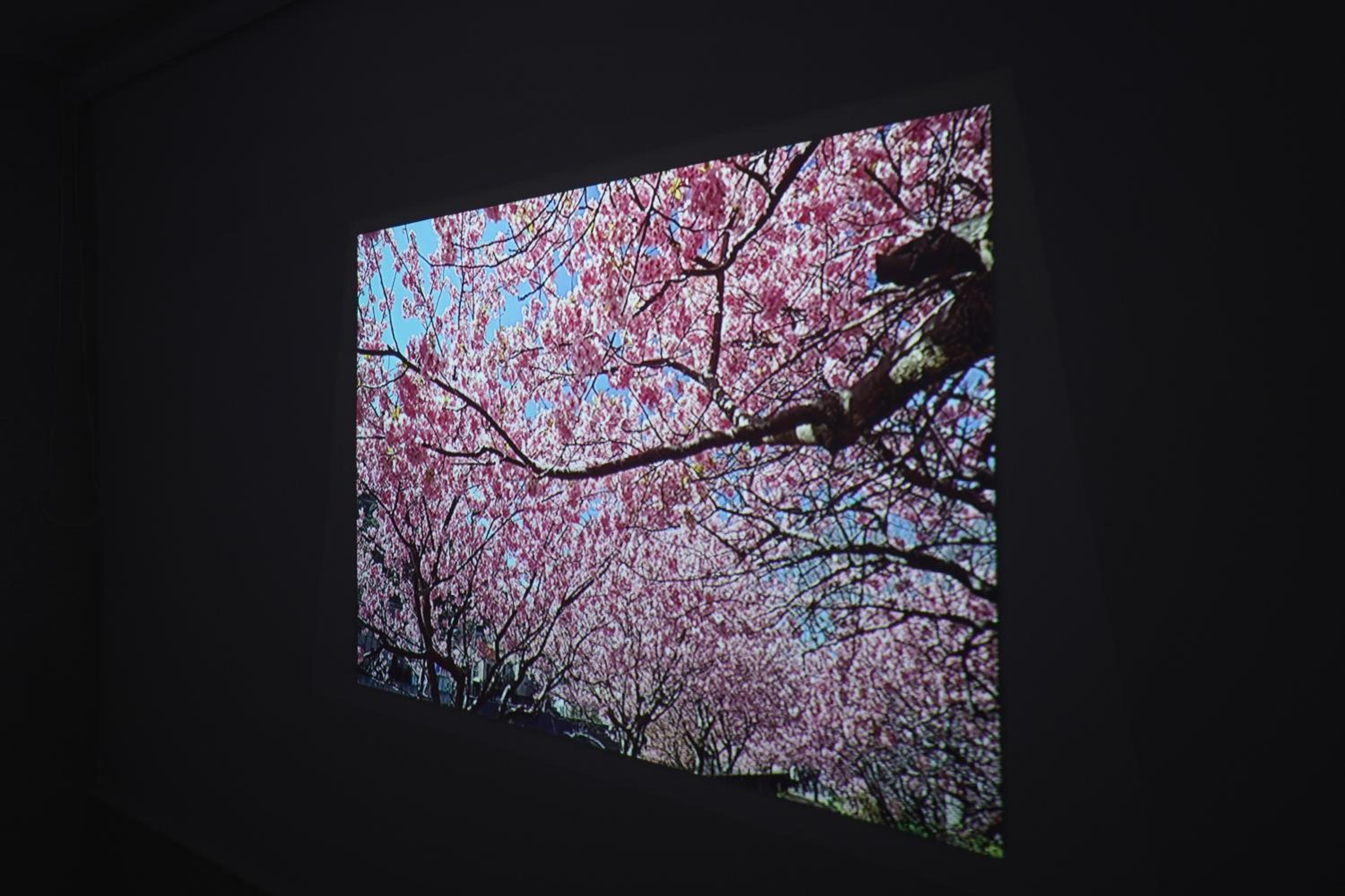 1 line to Asakusa! Projector, 5 mins walk from Togoshi-ginza Sta