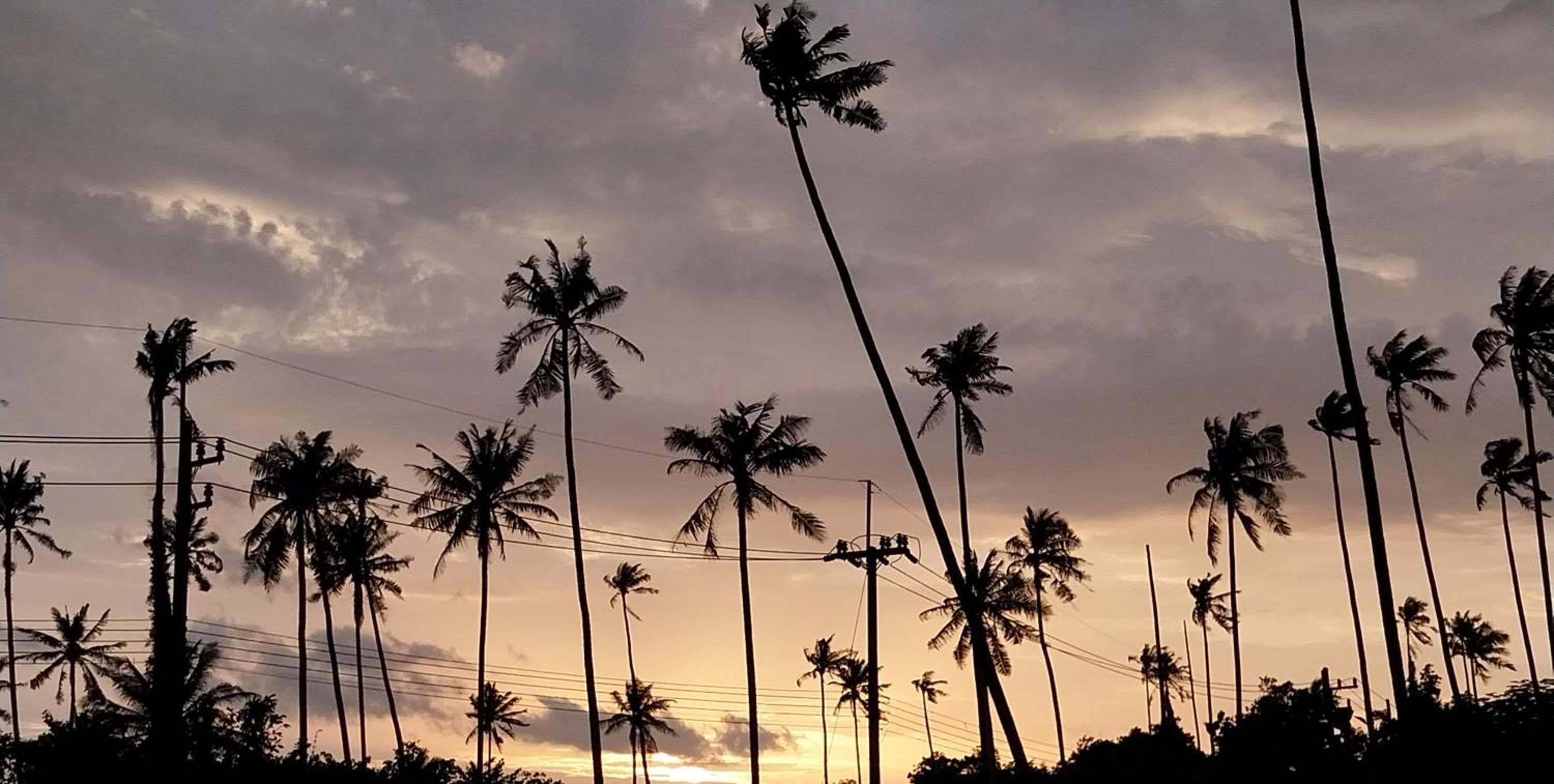 Naivacha Tent Koh Mak