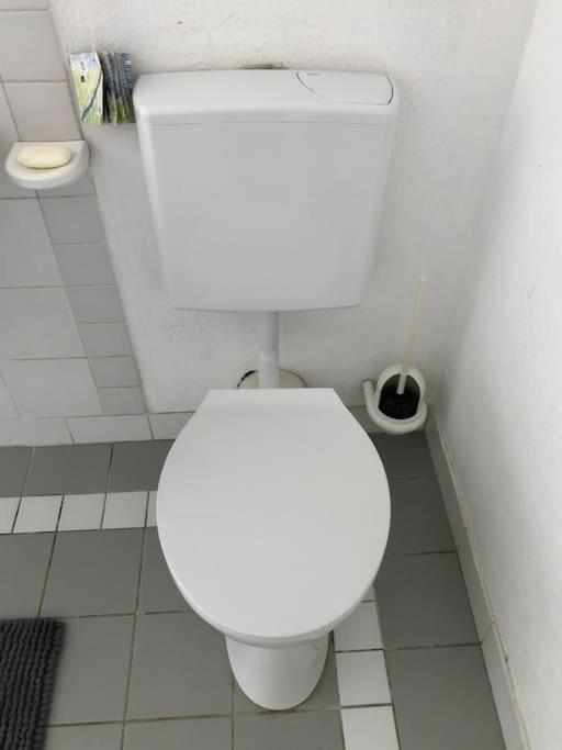Der optische Hof