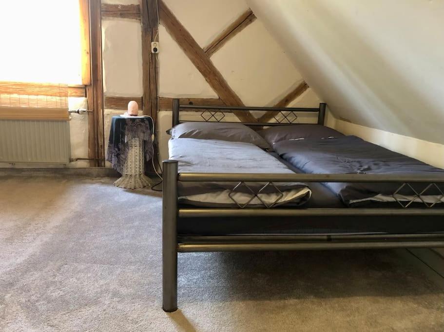 Der optische Hof