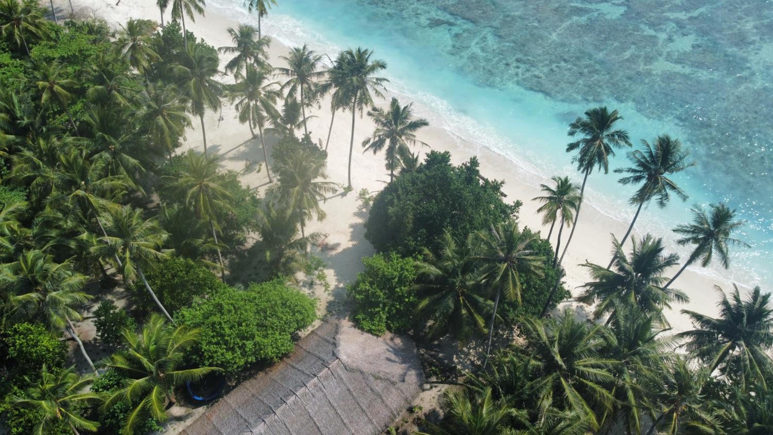 Jala Villas Lances Right HTs Mentawai