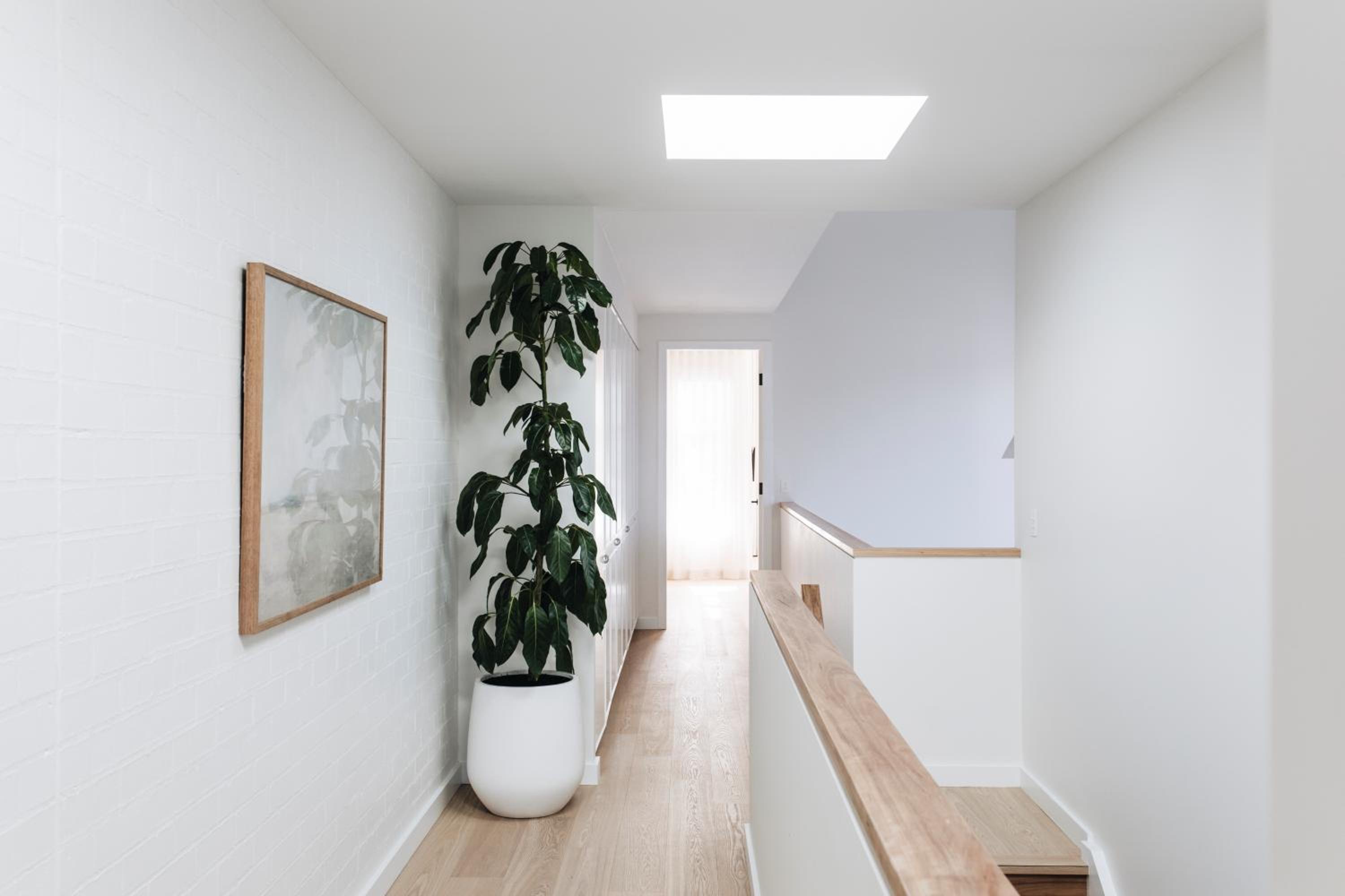 Rubus Residences, Berry - by Linnaeus Collection