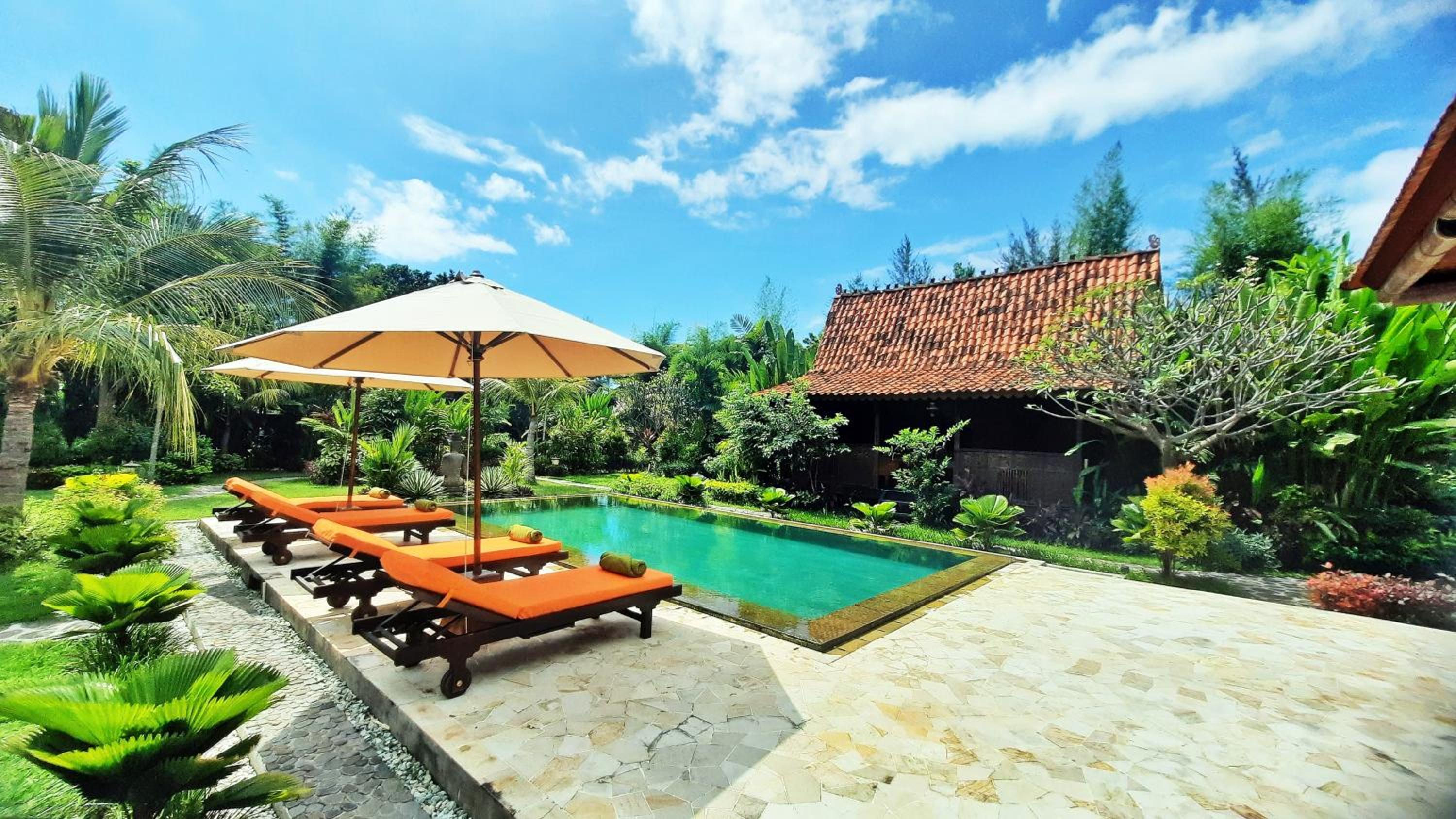 Le Petit Leon's Traditional wooden house view 3