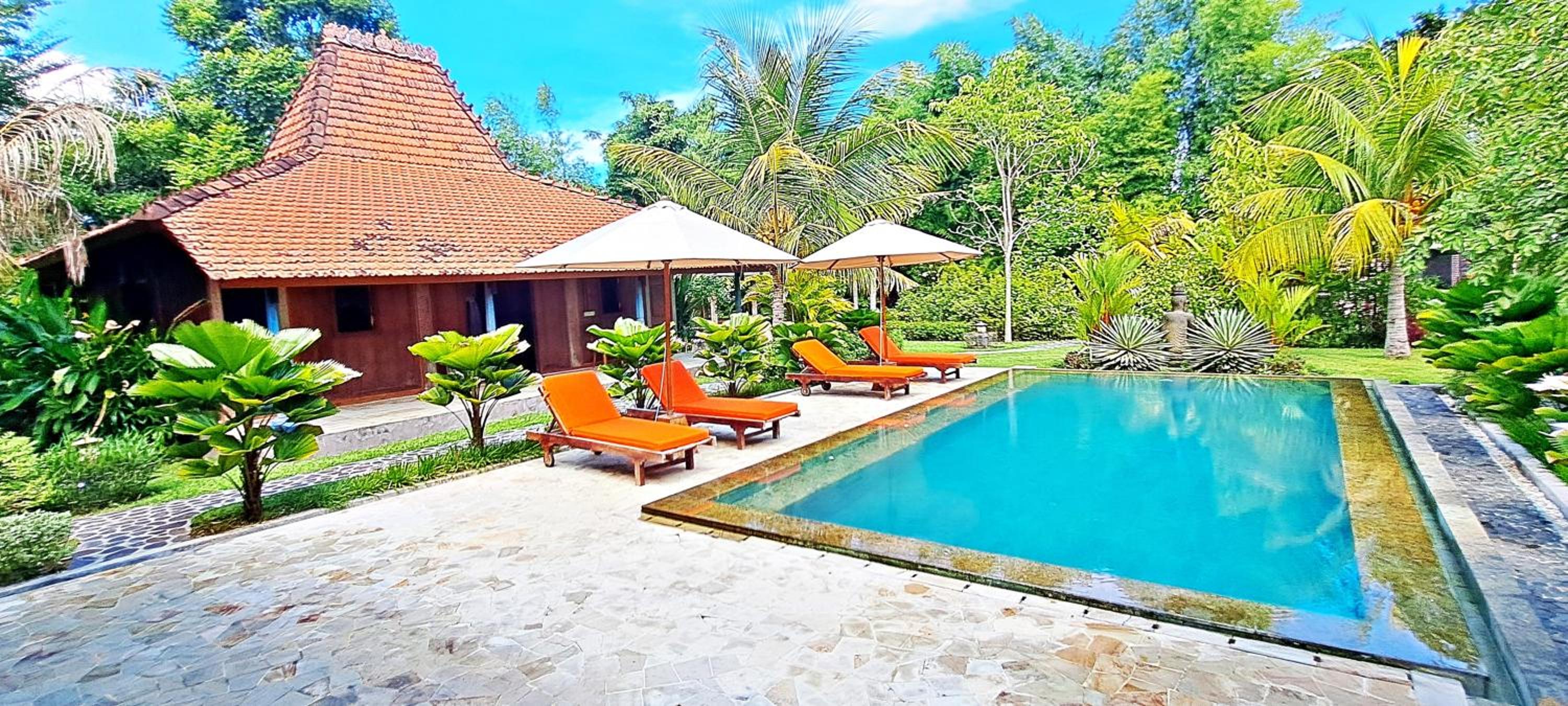 Le Petit Leon's Traditional wooden house view 4