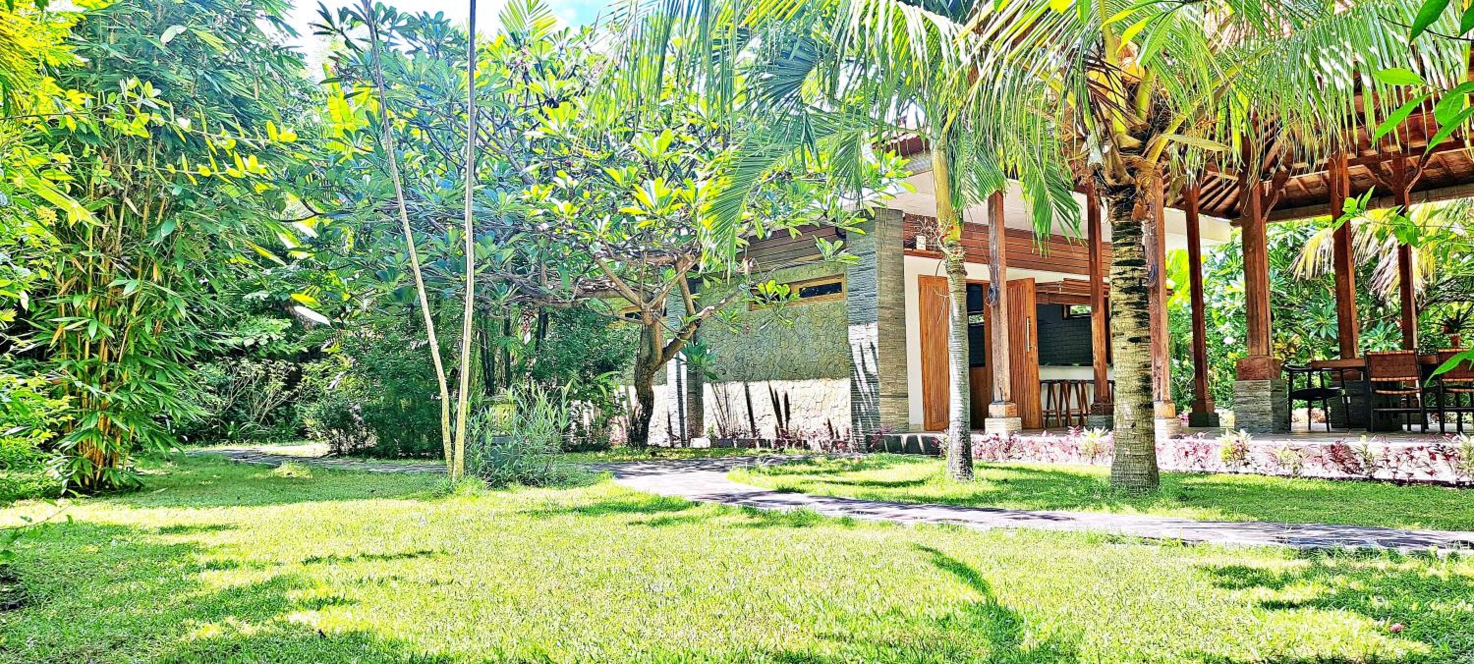 Le Petit Leon's Traditional wooden house view 5