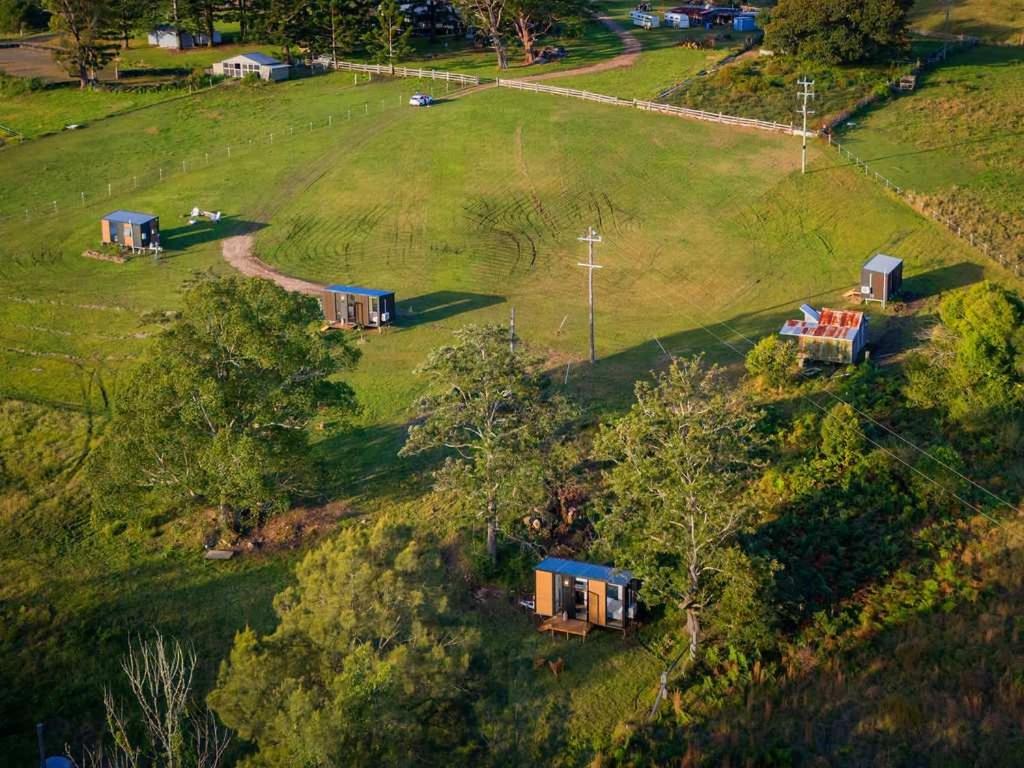 Tiny Tallowood by Tiny Away
