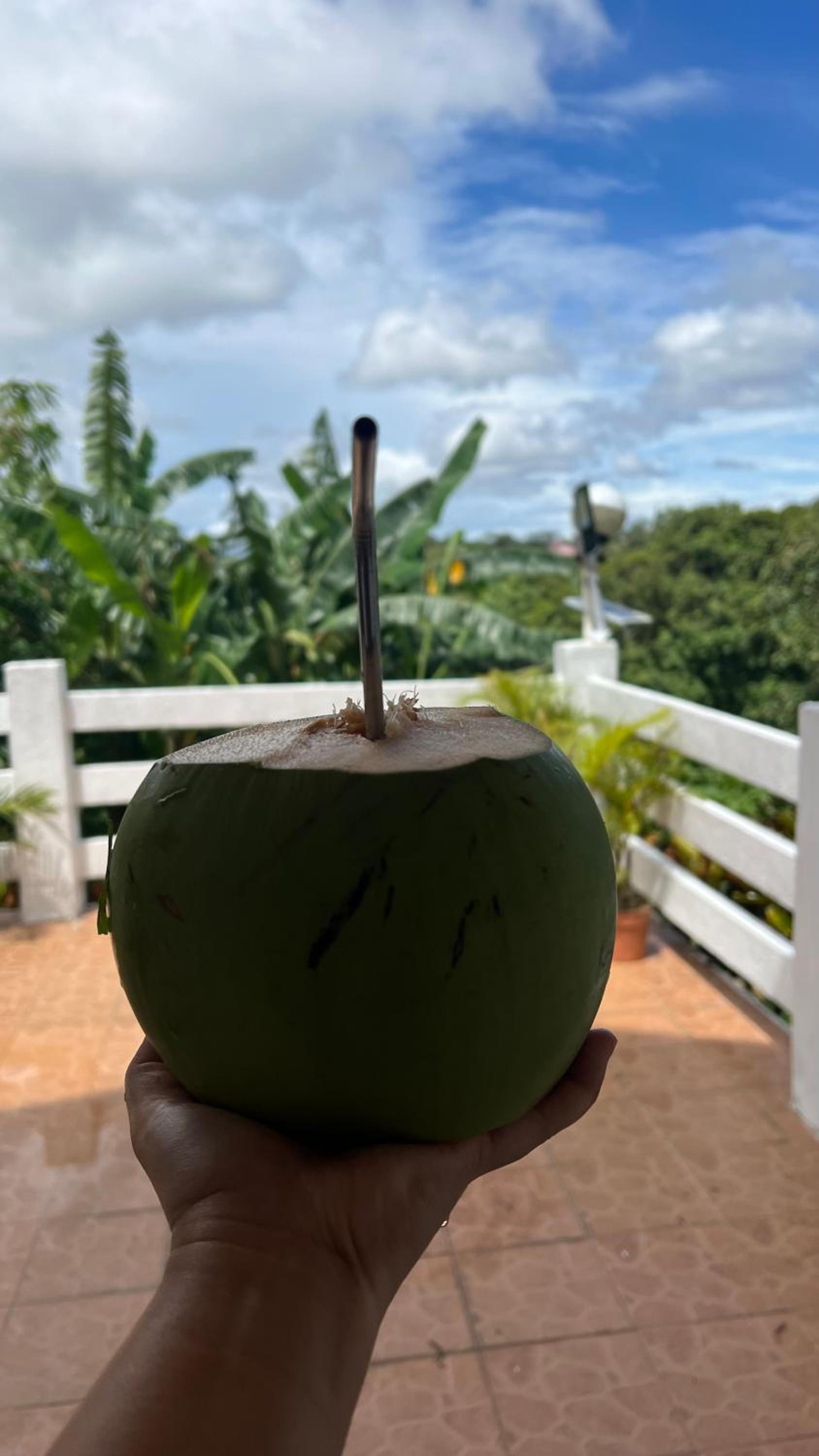 Kindred Farm B&B Homestay view 2