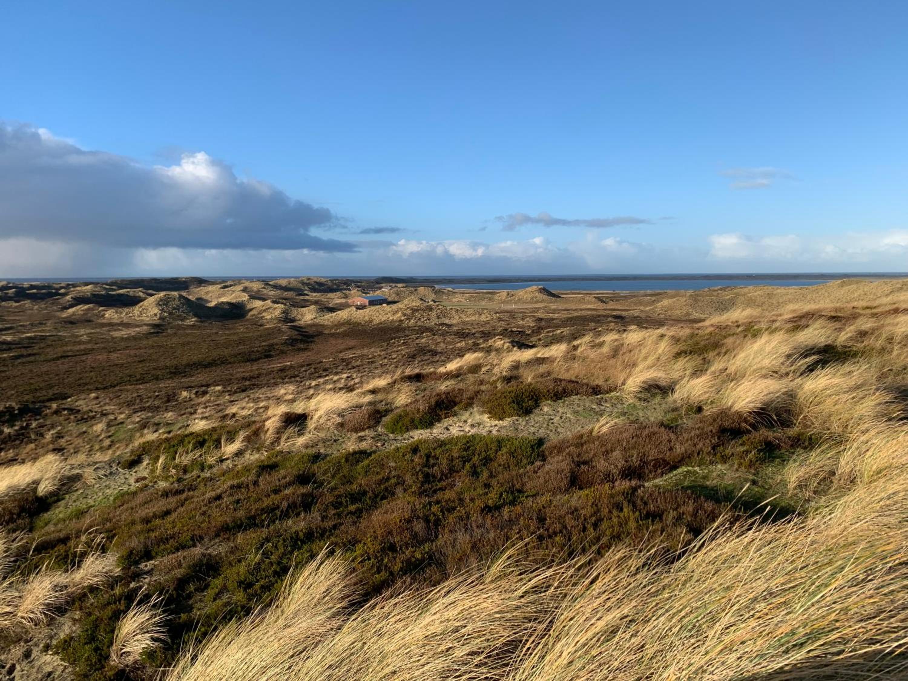 Ferienwohnung Strandflieder Archsum Sylt