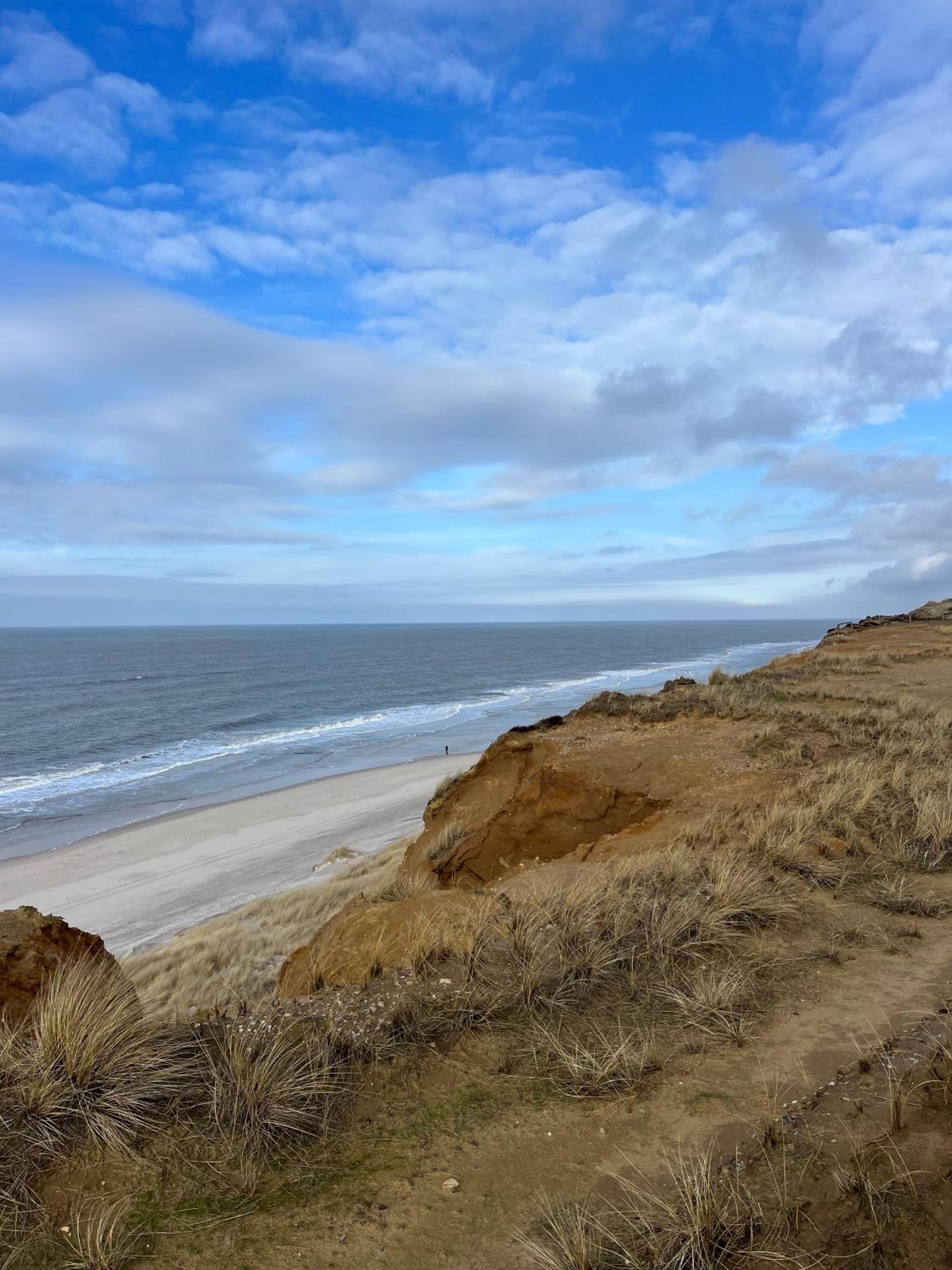 Ferienwohnung Strandflieder Archsum Sylt