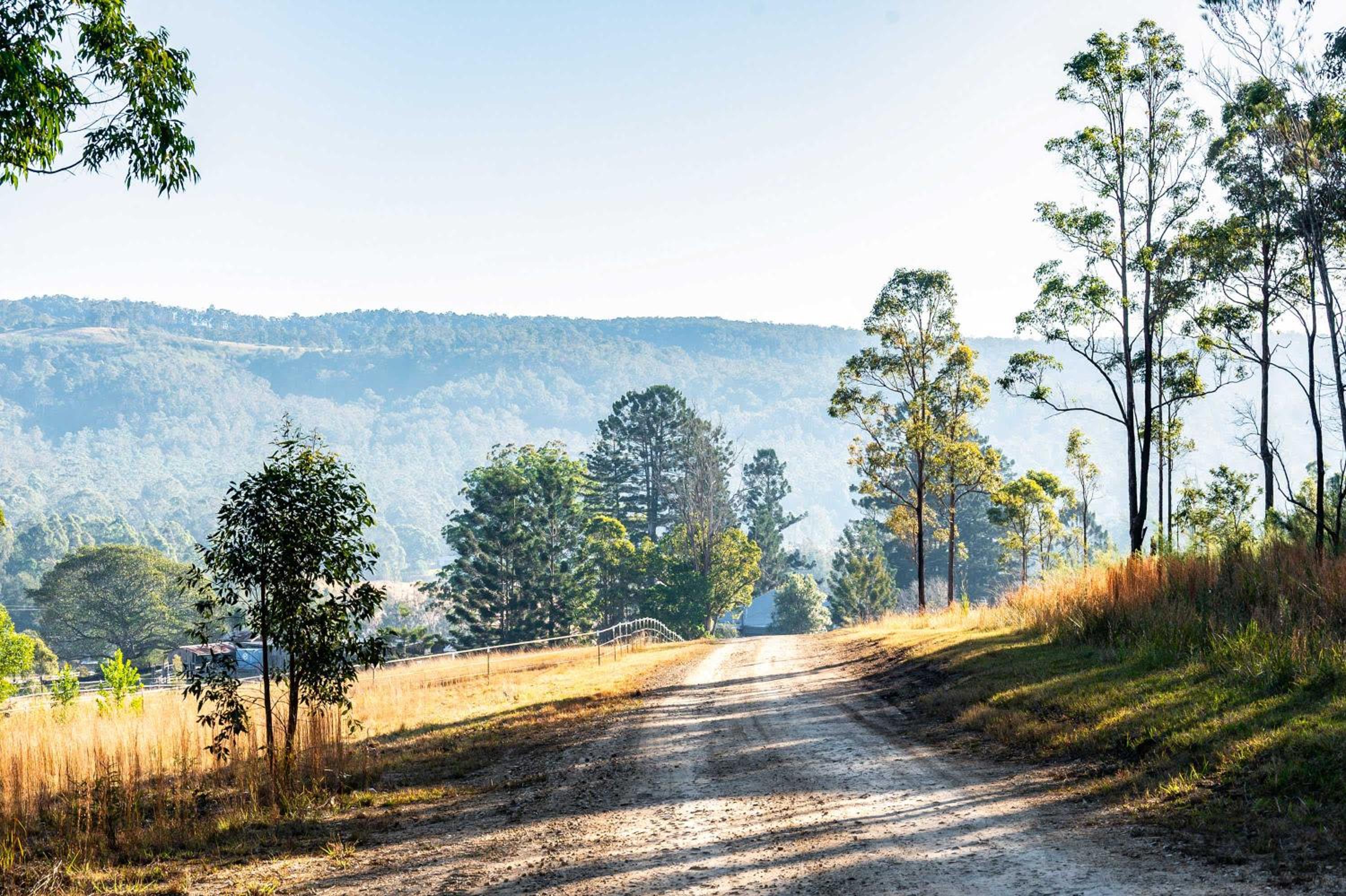 Tiny Grey Gum by Tiny Away