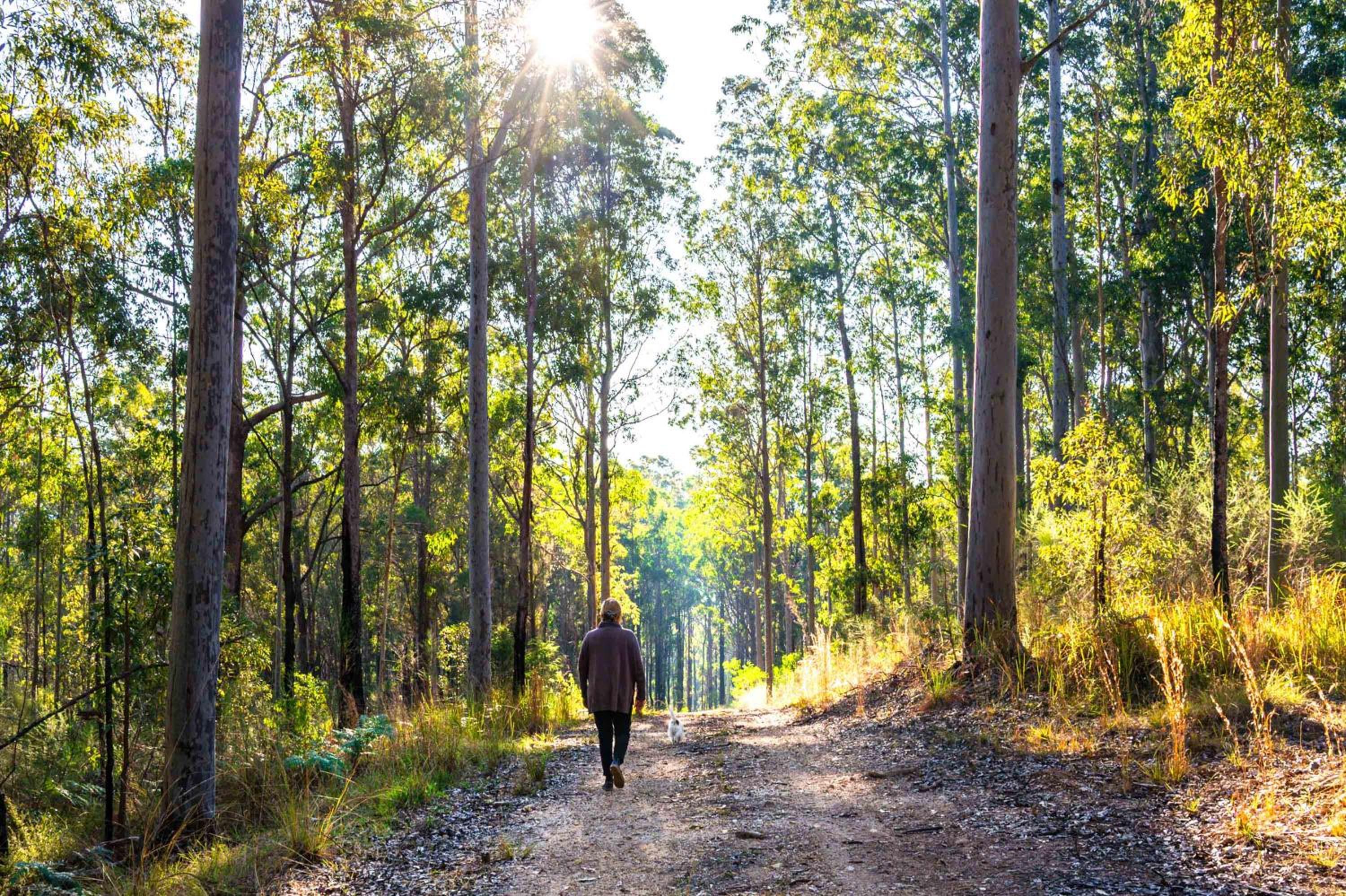 Tiny Grey Gum by Tiny Away