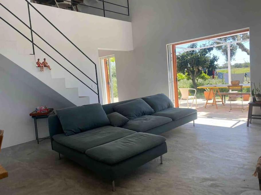 Villa - Cottage - Herdade da Fonte das Três portas view 2