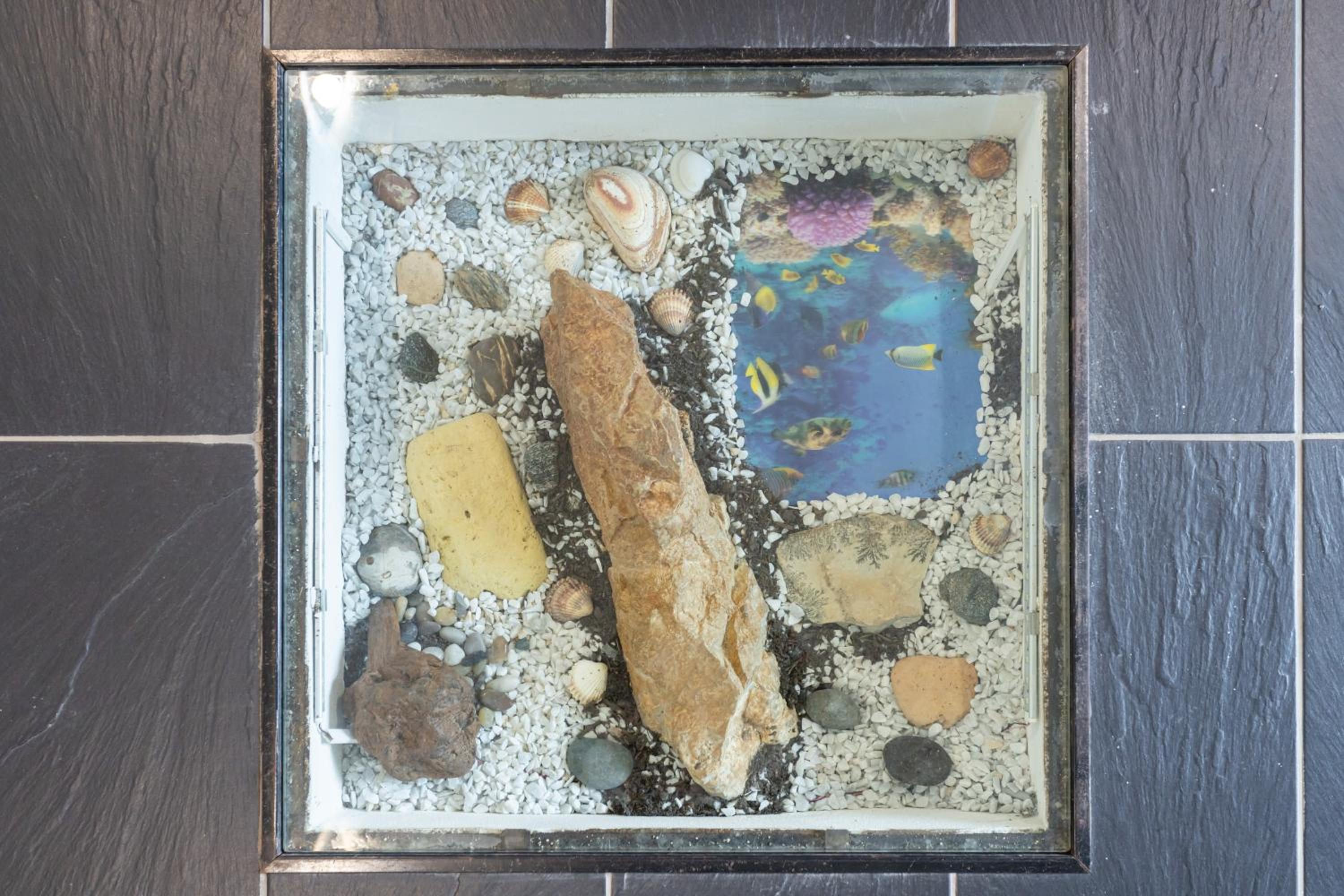 Photo 26